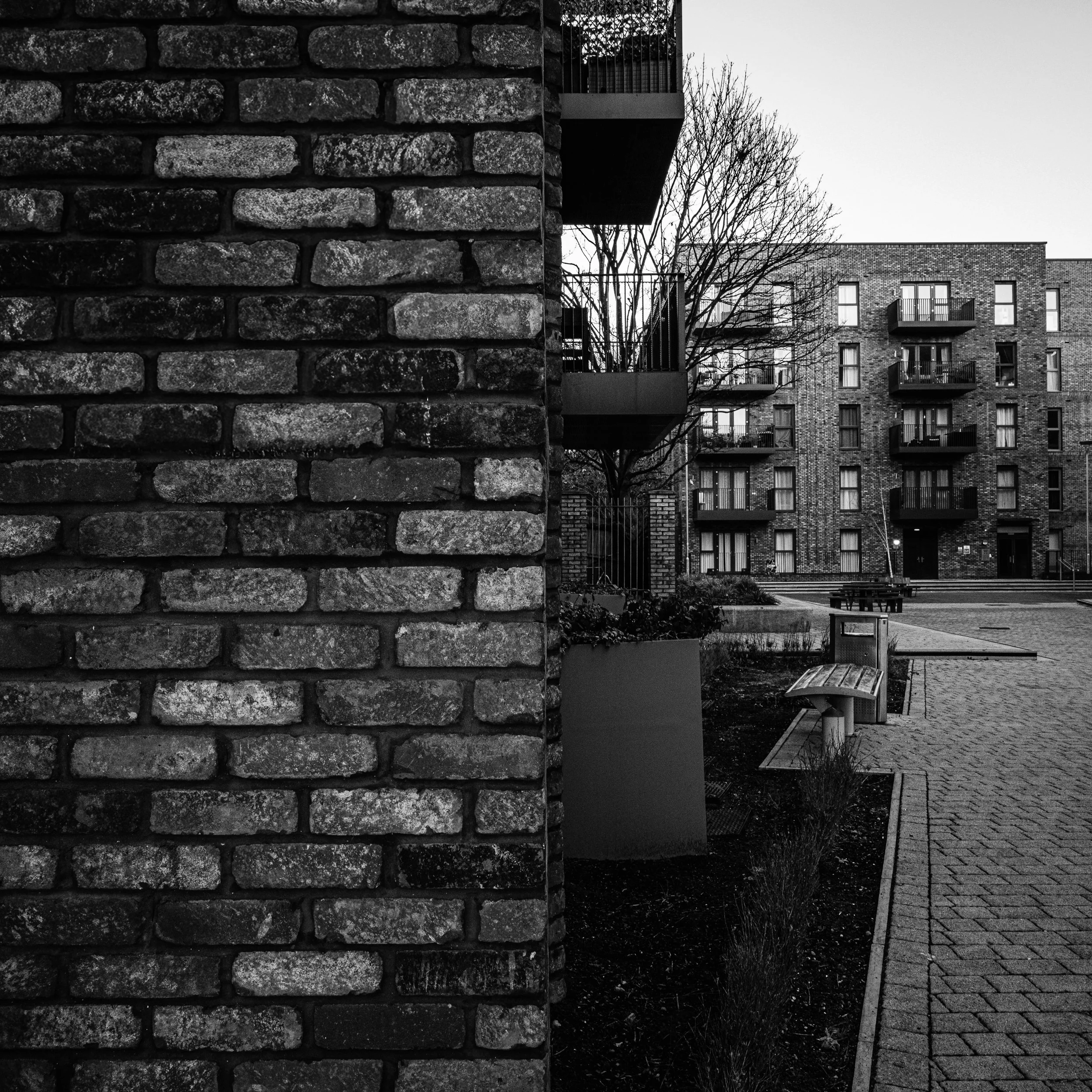untitled-31.jpg