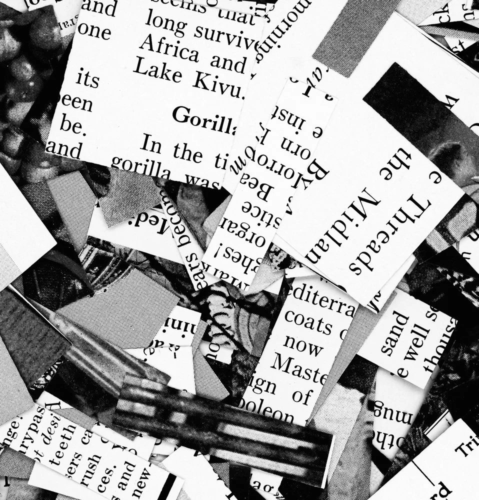 untitled-29.jpg