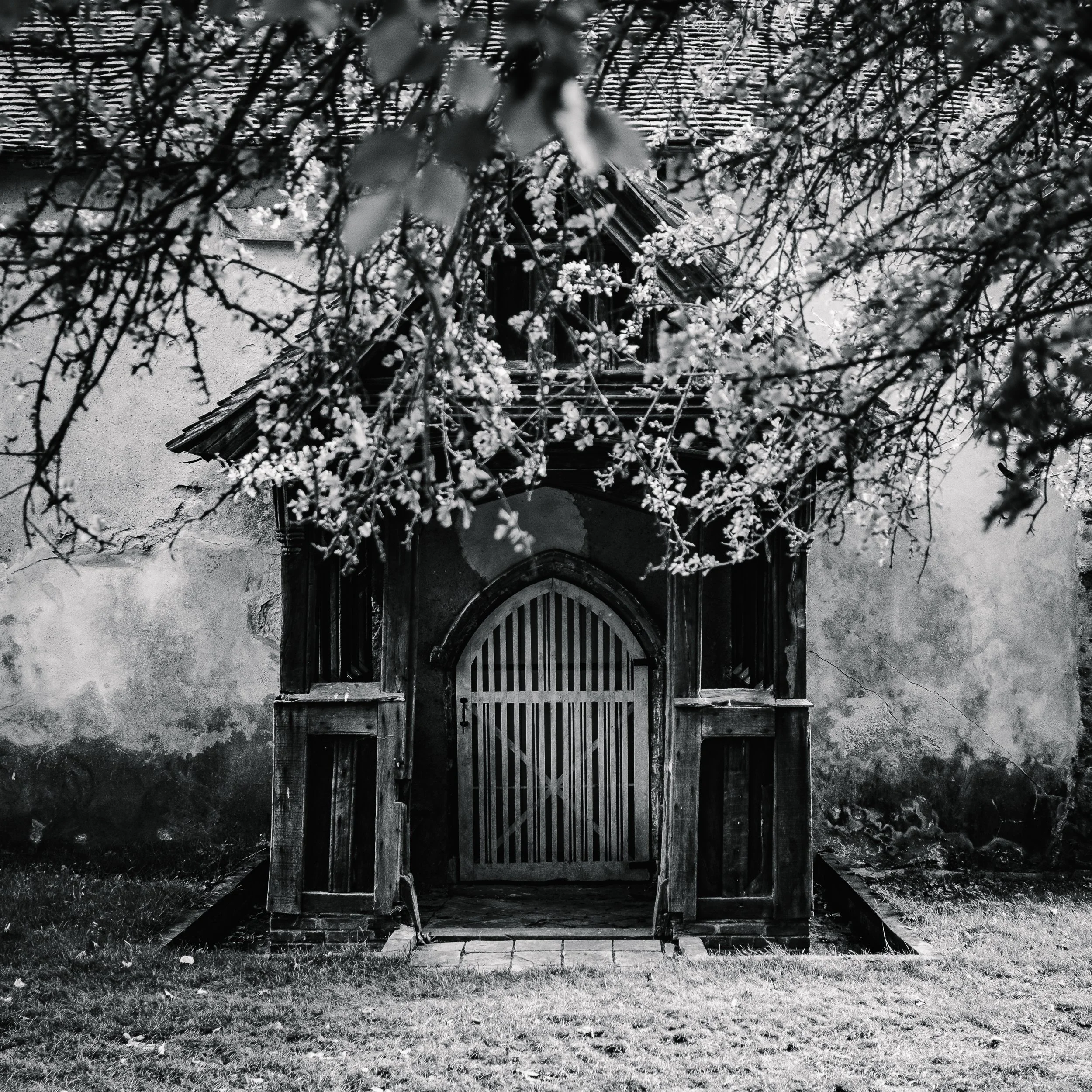 untitled-28.jpg