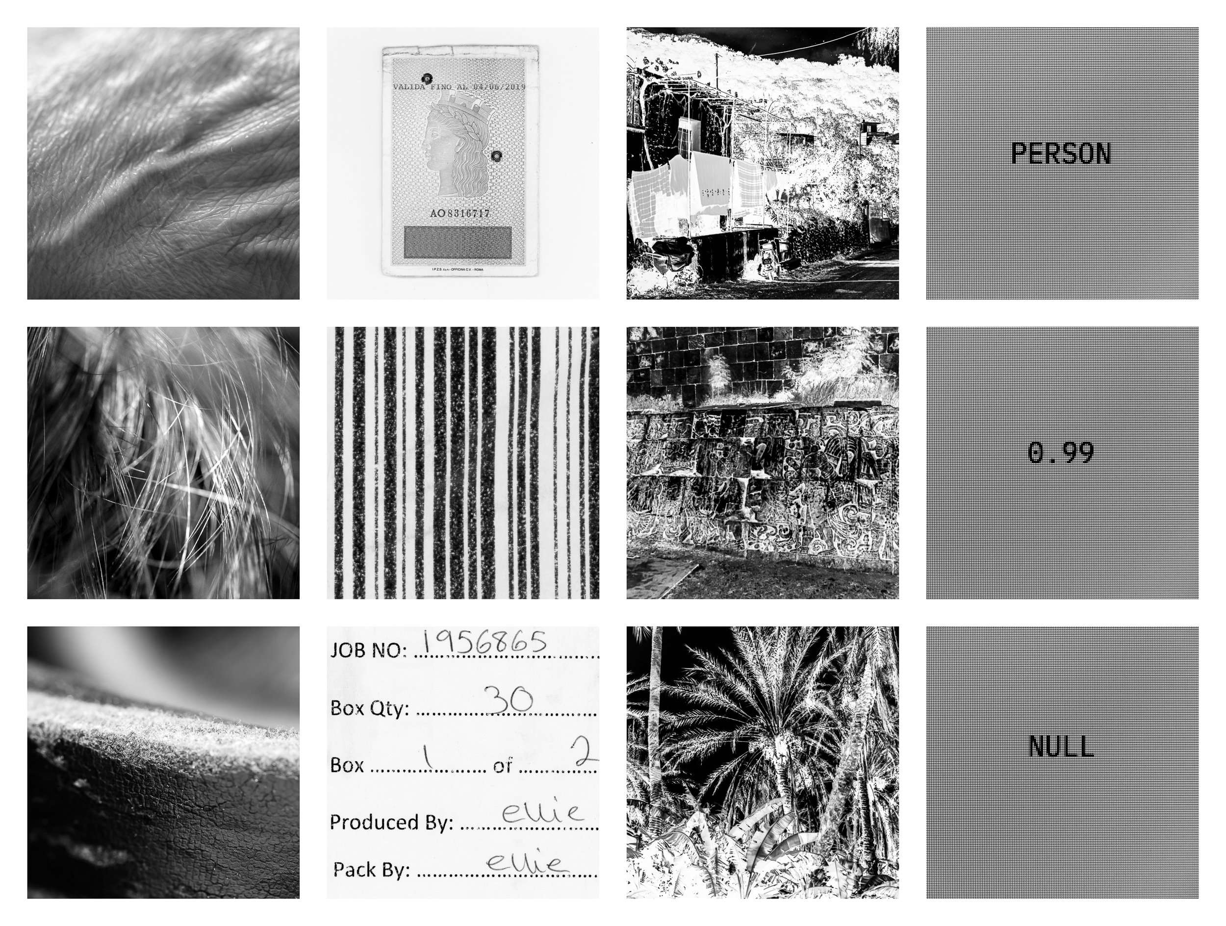 Systems of Residual Identity-1.jpg