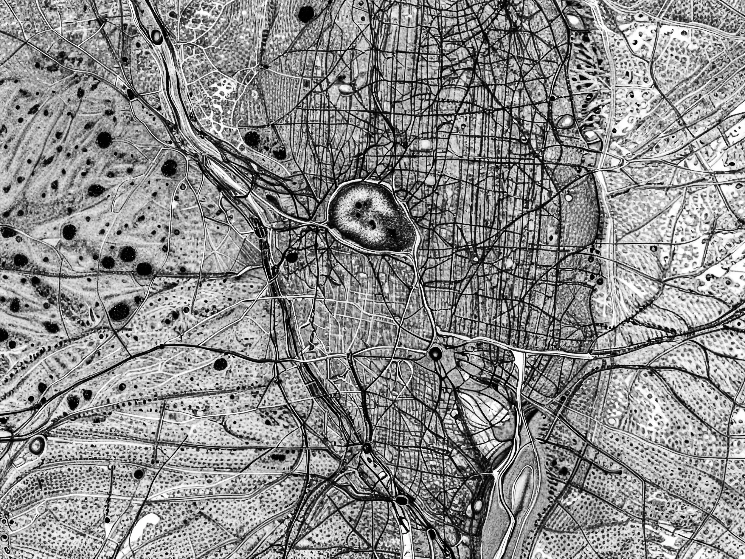 SPECIMEN REF: #054 TARGET LOCATION: MADRID, SPAGNA LAT: 40°25'00"N // LON: 03°42'13"W ALT: 10.000 METERS // ORIENTATION: TRUE NORTH / NADIR