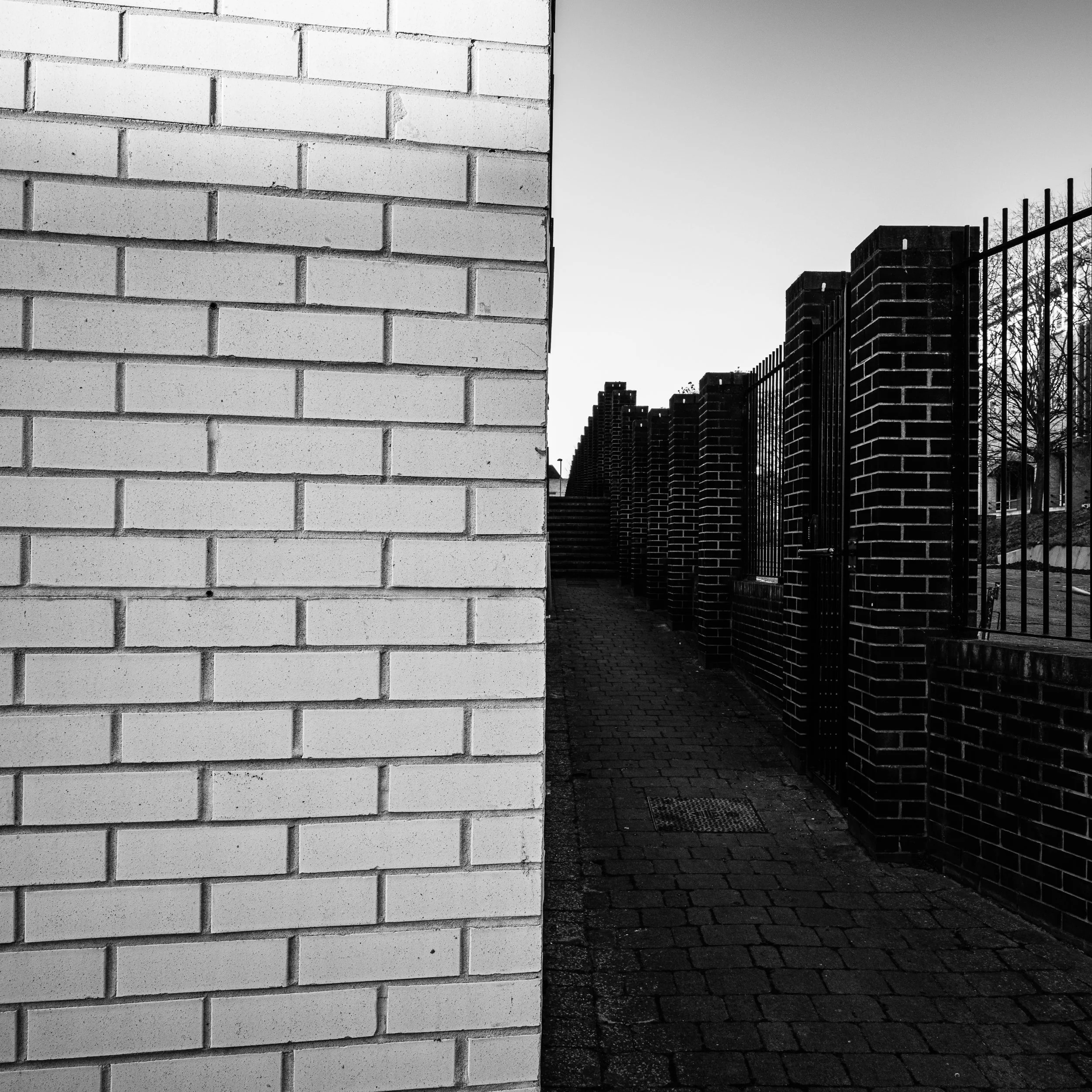 untitled-11.jpg