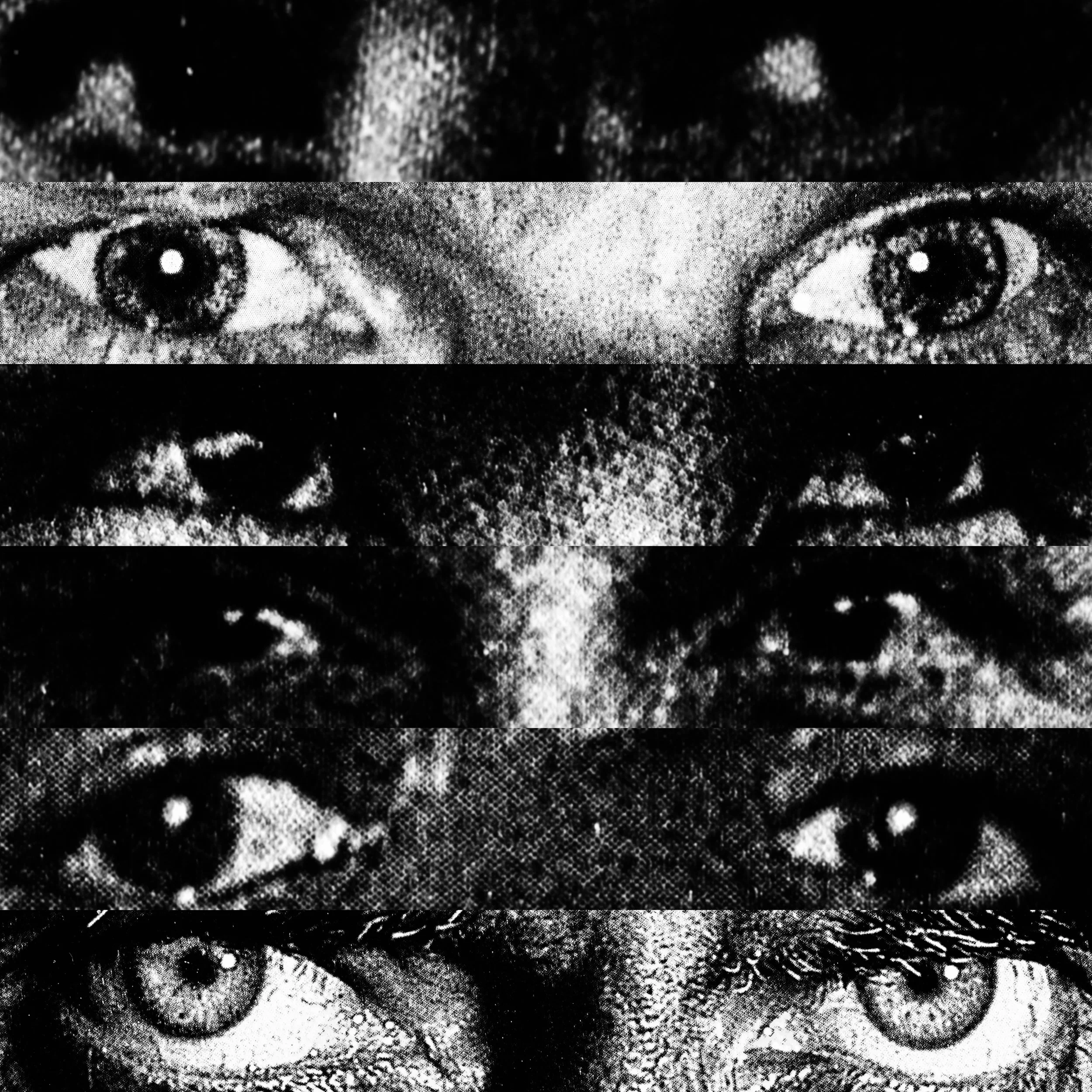 untitled-16.jpg
