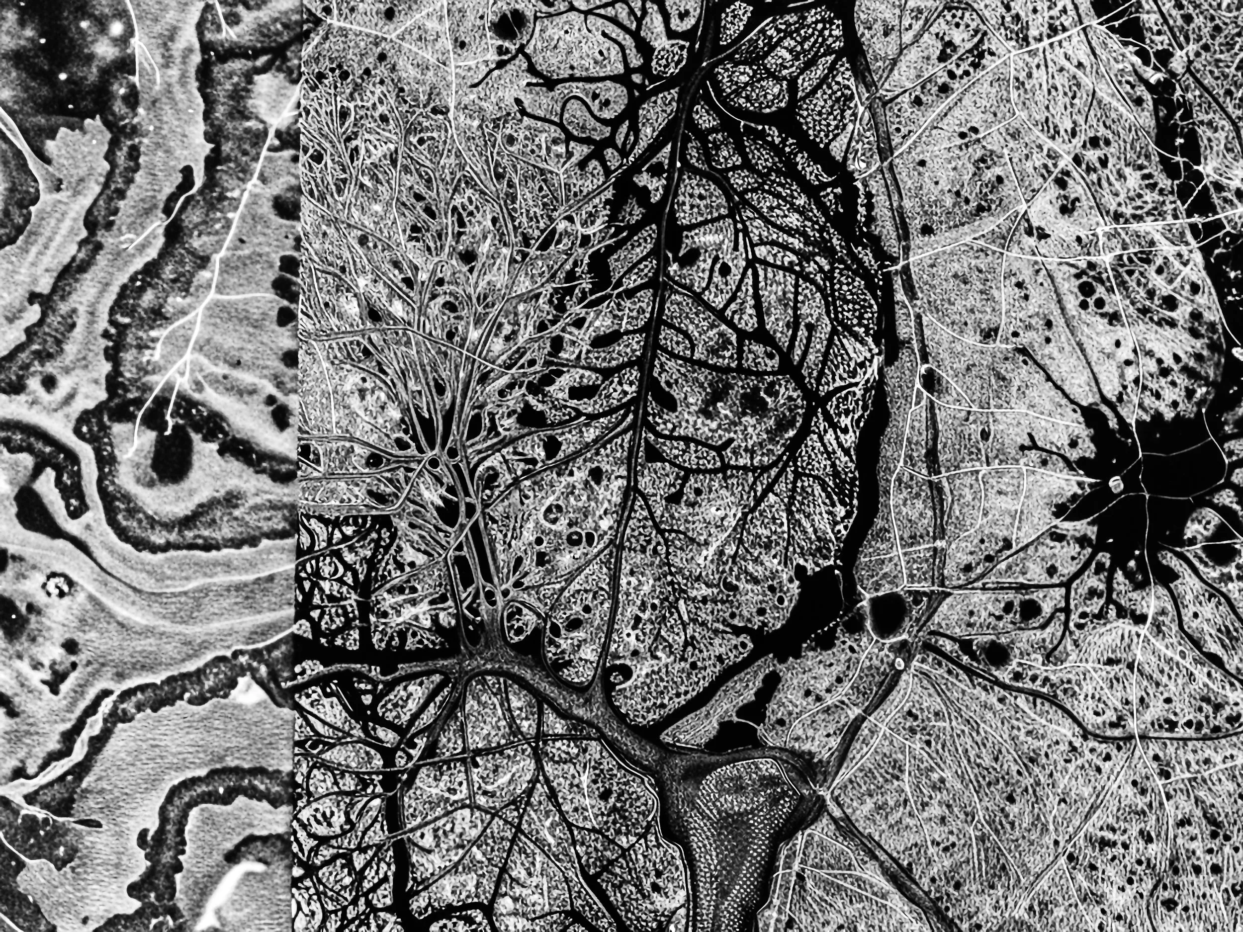 SPECIMEN REF: #004 TARGET LOCATION: DHAKA, BANGLADESH LAT: 23°48'37"N // LON: 90°24'44"E ALT: 10.000 METERS // ORIENTATION: TRUE NORTH / NADIR