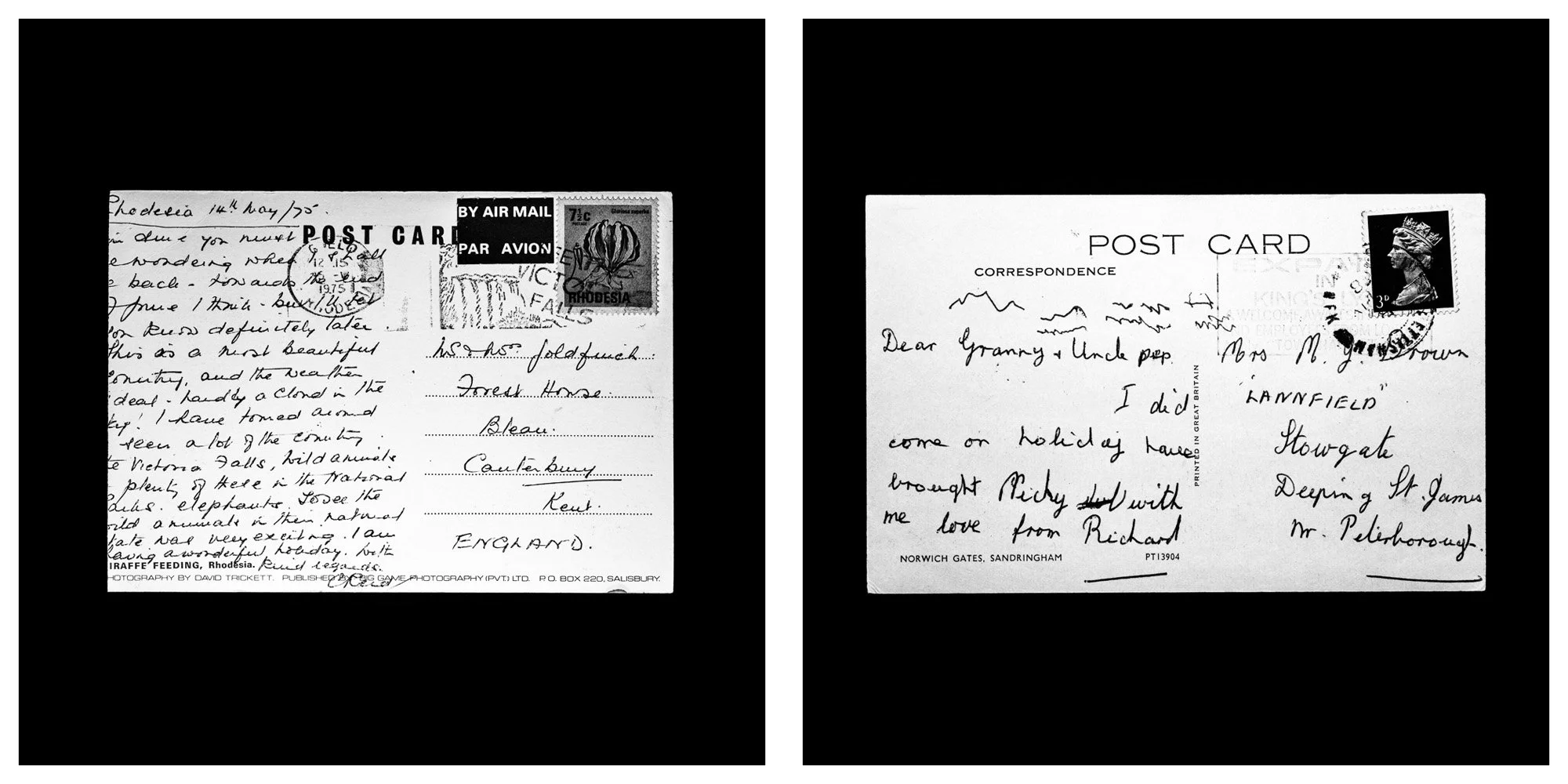 A forensic photographic capture displaying the reverse sides of two historical postcards positioned side-by-side against an absolute black space. Part of a systematic cataloging protocol, the image isolates the artifacts to treat handwriting, postal 