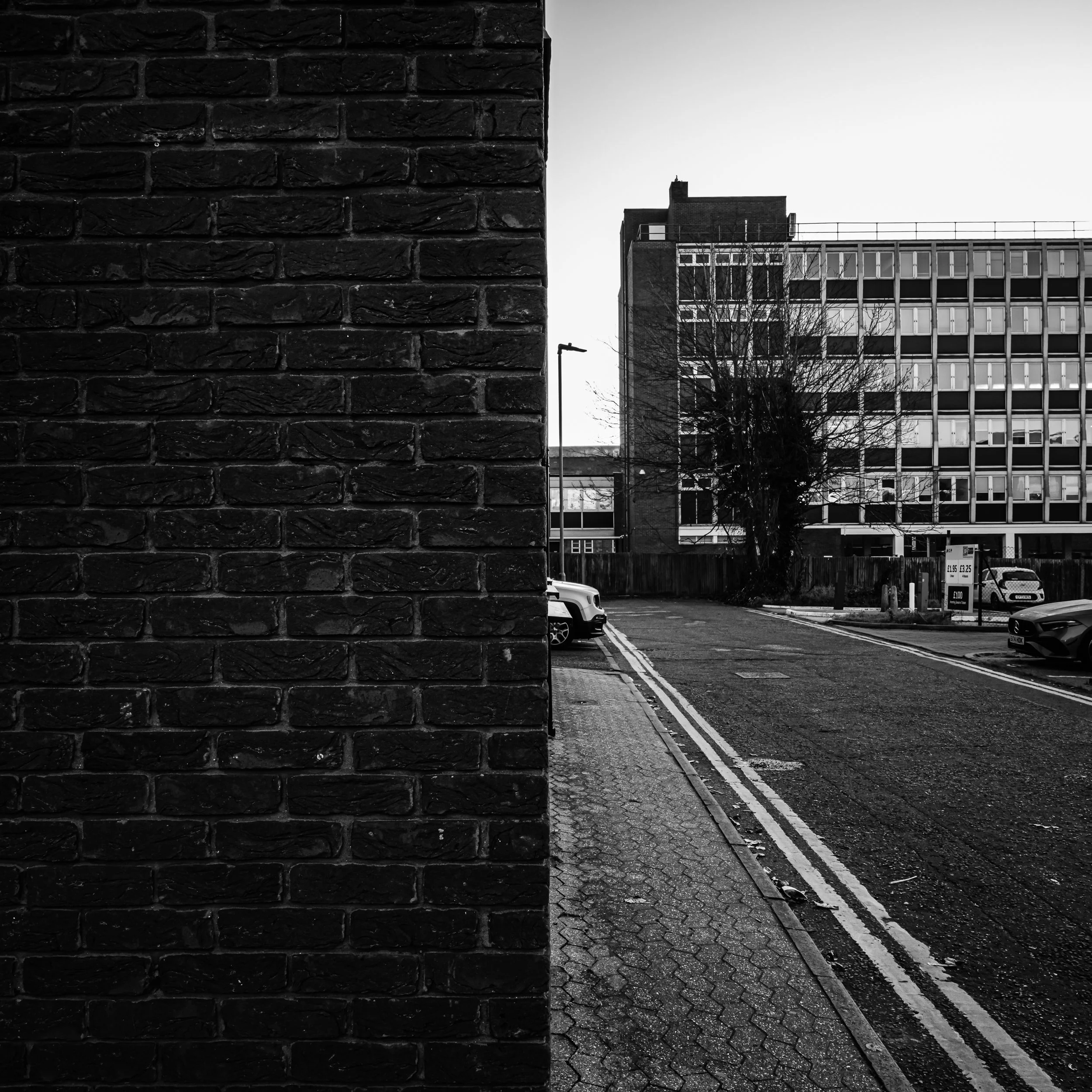 untitled-21.jpg