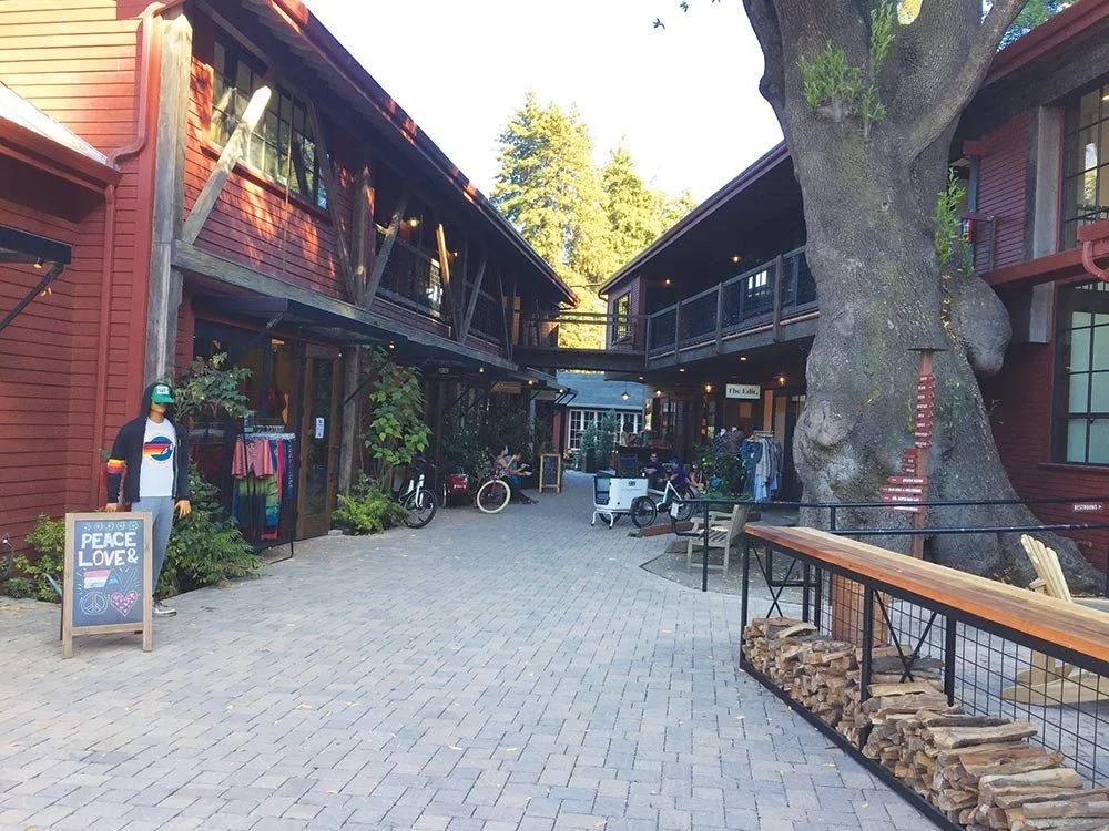 A Day in the Valley - Local Charm Abounds in Mill Valley