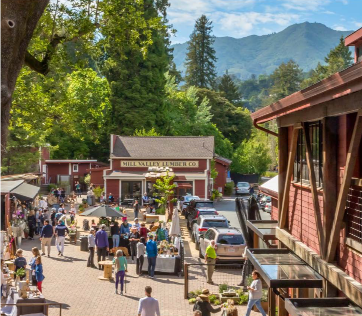 Enjoy Mill Valley Films: The Lumber Yard Is a Destination Like No Other!!