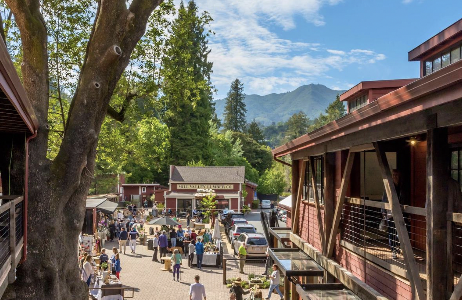 Why We Love Mill Valley: Everything You Ever Wanted to Know About This Scenic, Woodsy Town