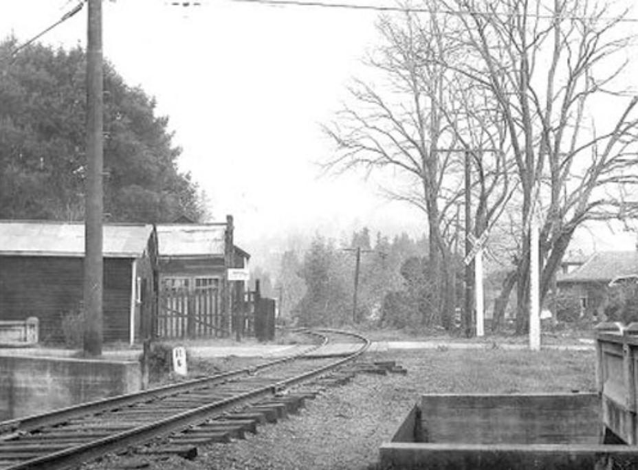 Mill Valley Lumber Yard- The History and a New Chapter in 2016