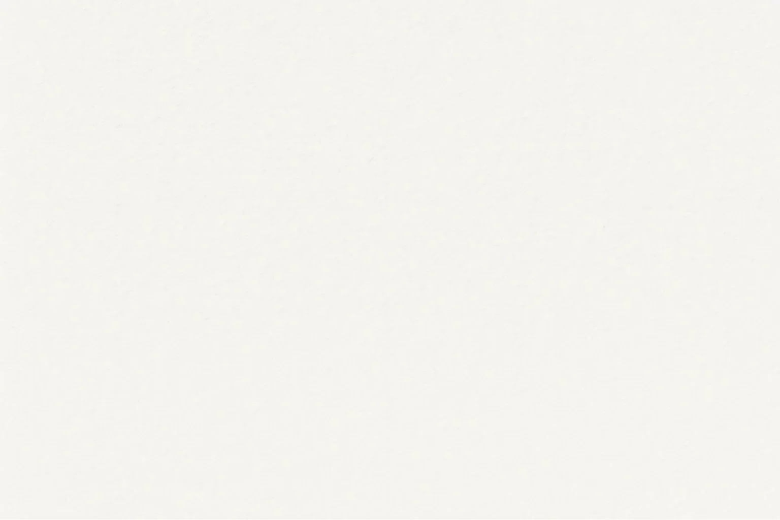 Plain white background with no objects or details.