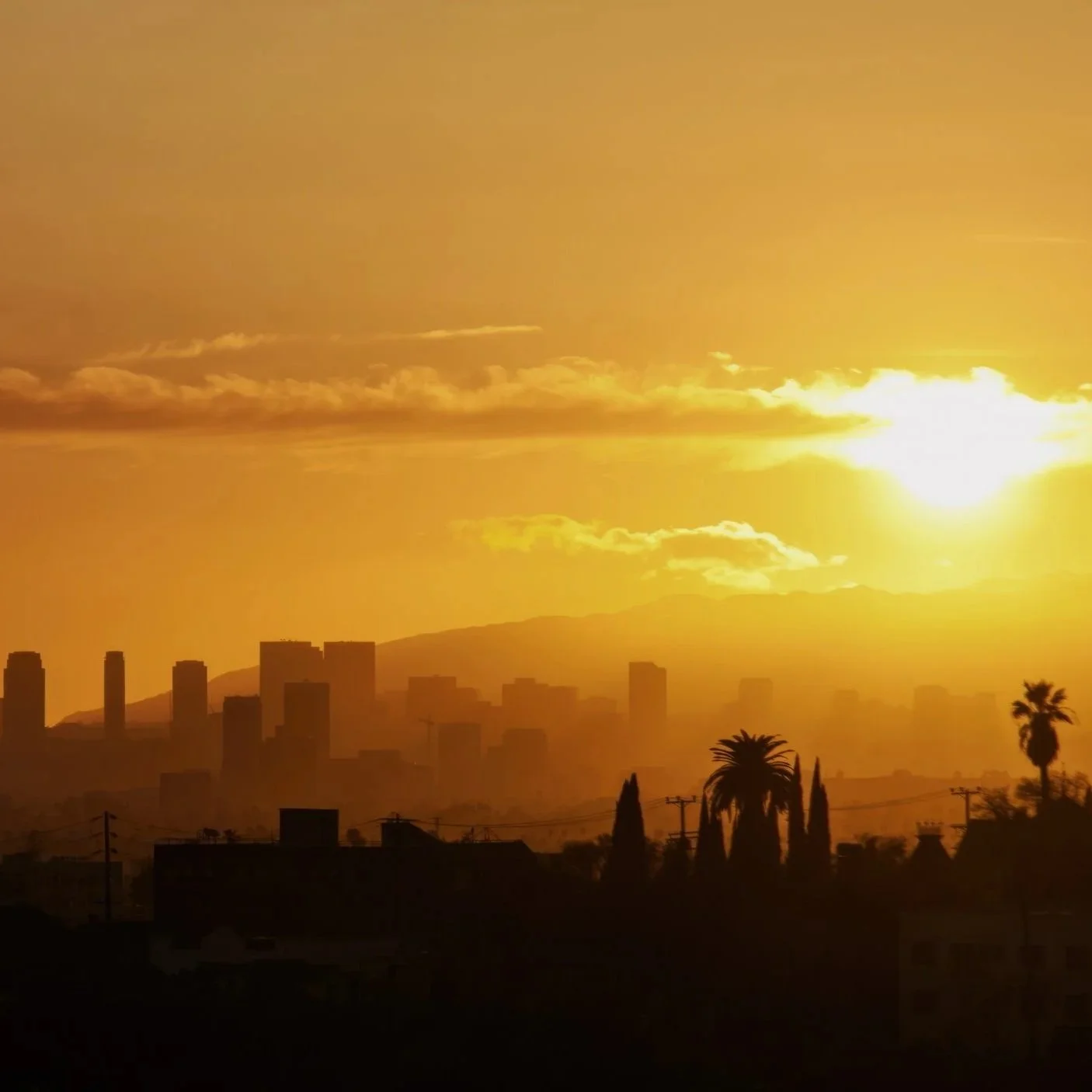 Sunset over a city skyline with silhouetted buildings and palm trees.