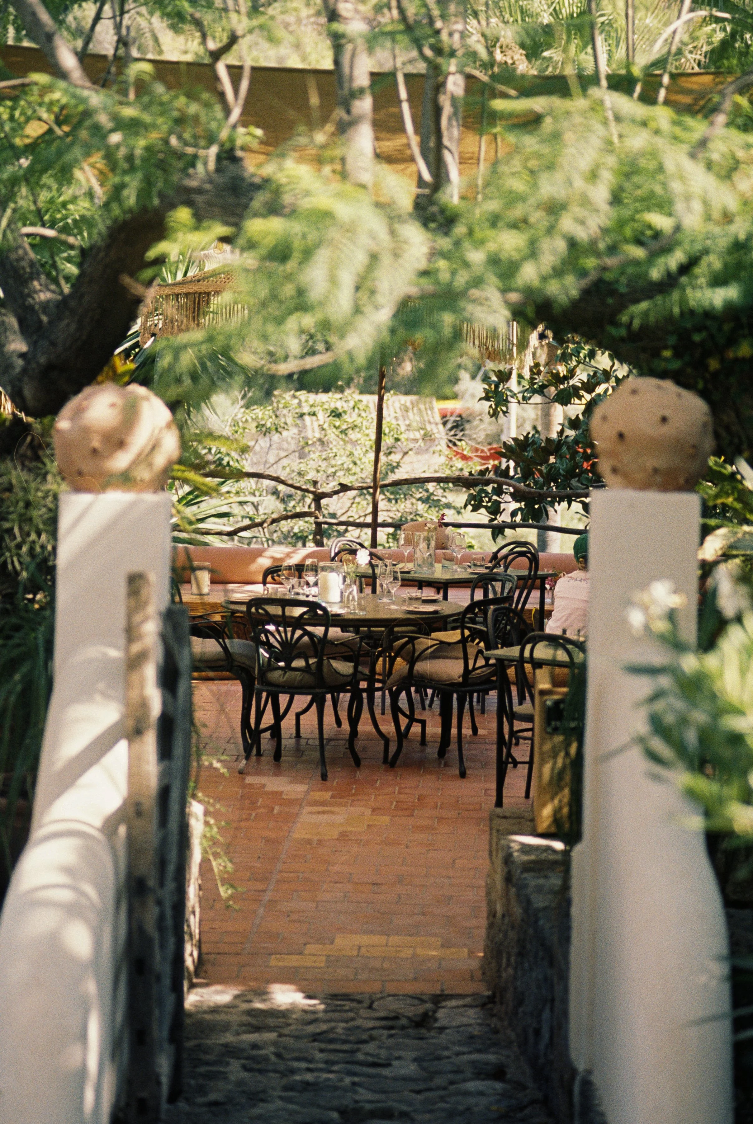 An outdoor dining area viewed through a white painted fence gate, with tables and chairs, surrounded by greenery and trees.