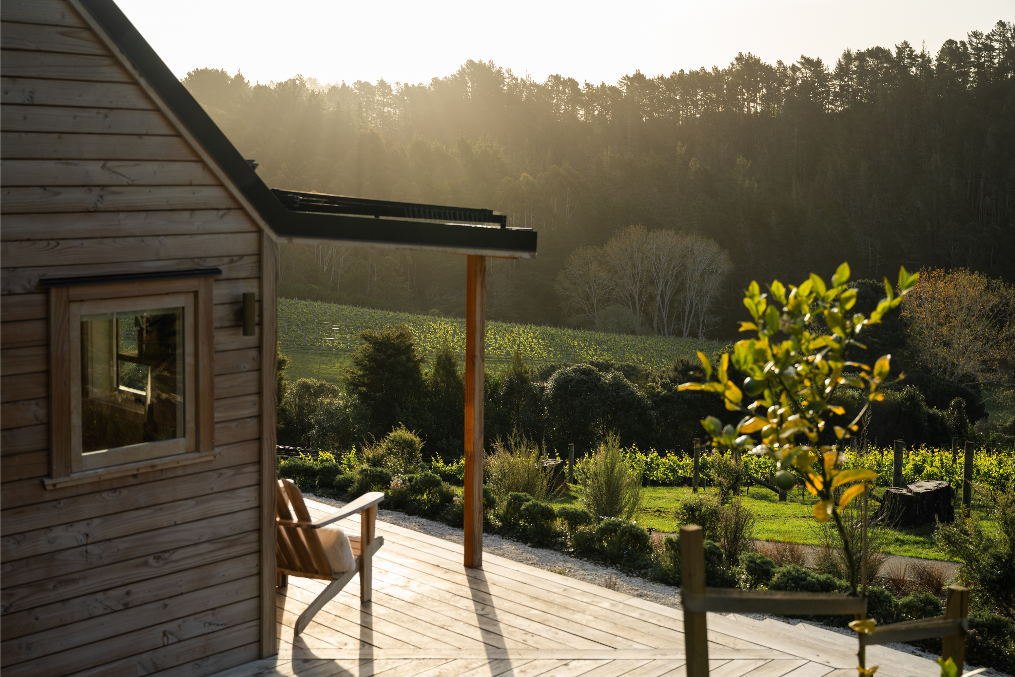 View from a wooden deck overlooking a lush garden with vineyards and trees, with sun rays shining through the forest in the background.