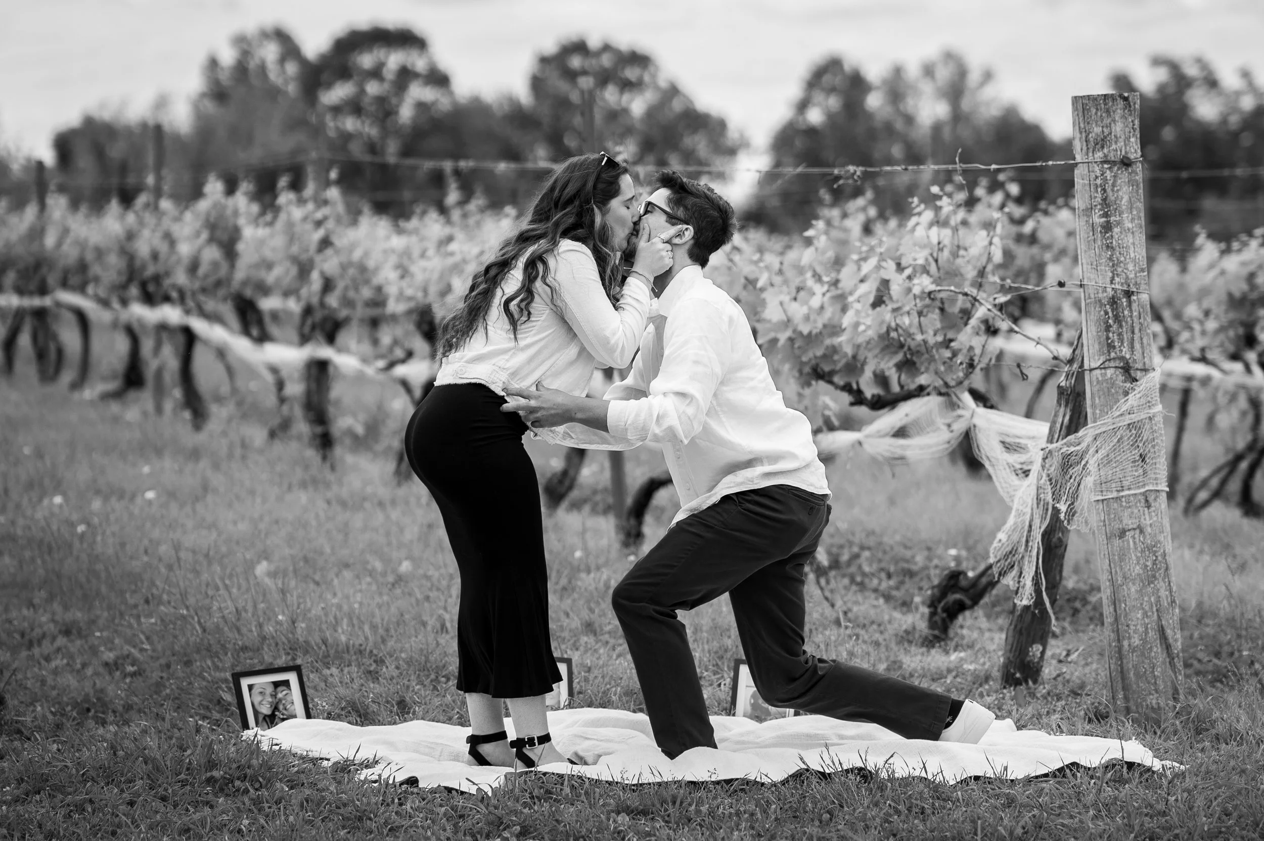 A couple kiss and embrace in a vineyard with framed photos on a blanket on the ground.