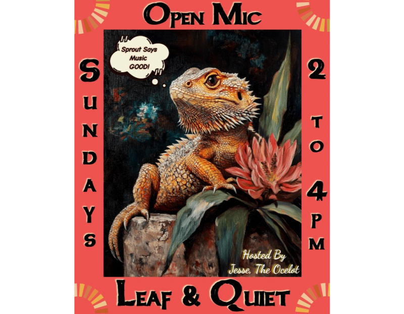 Open Mic Sundays 