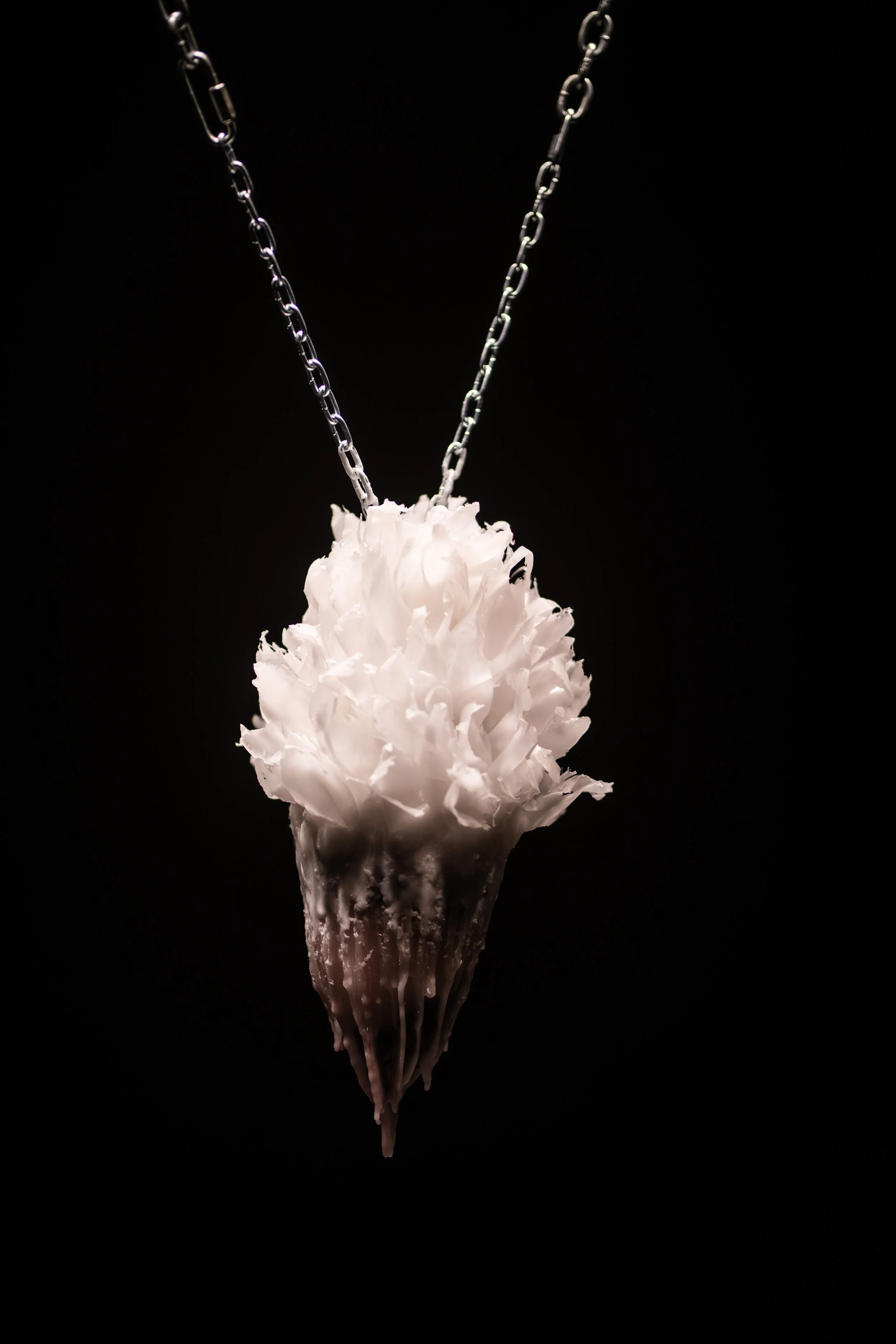 Welcome to our guesthouse - 2024 - Bart Grietens-201.jpg