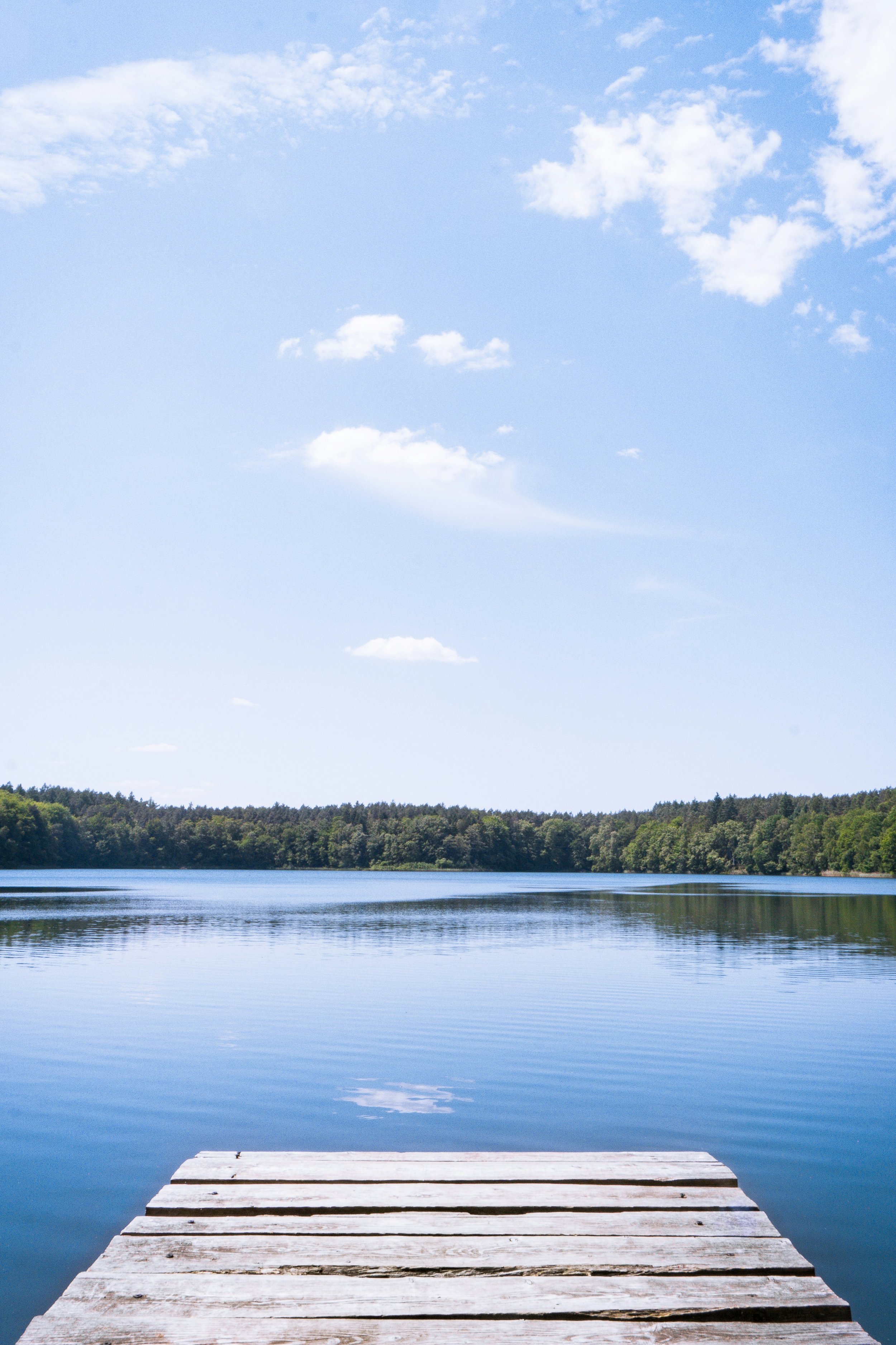 A wooden dock extends into a calm lake with a tree-lined shoreline under a bright blue sky with scattered white clouds.