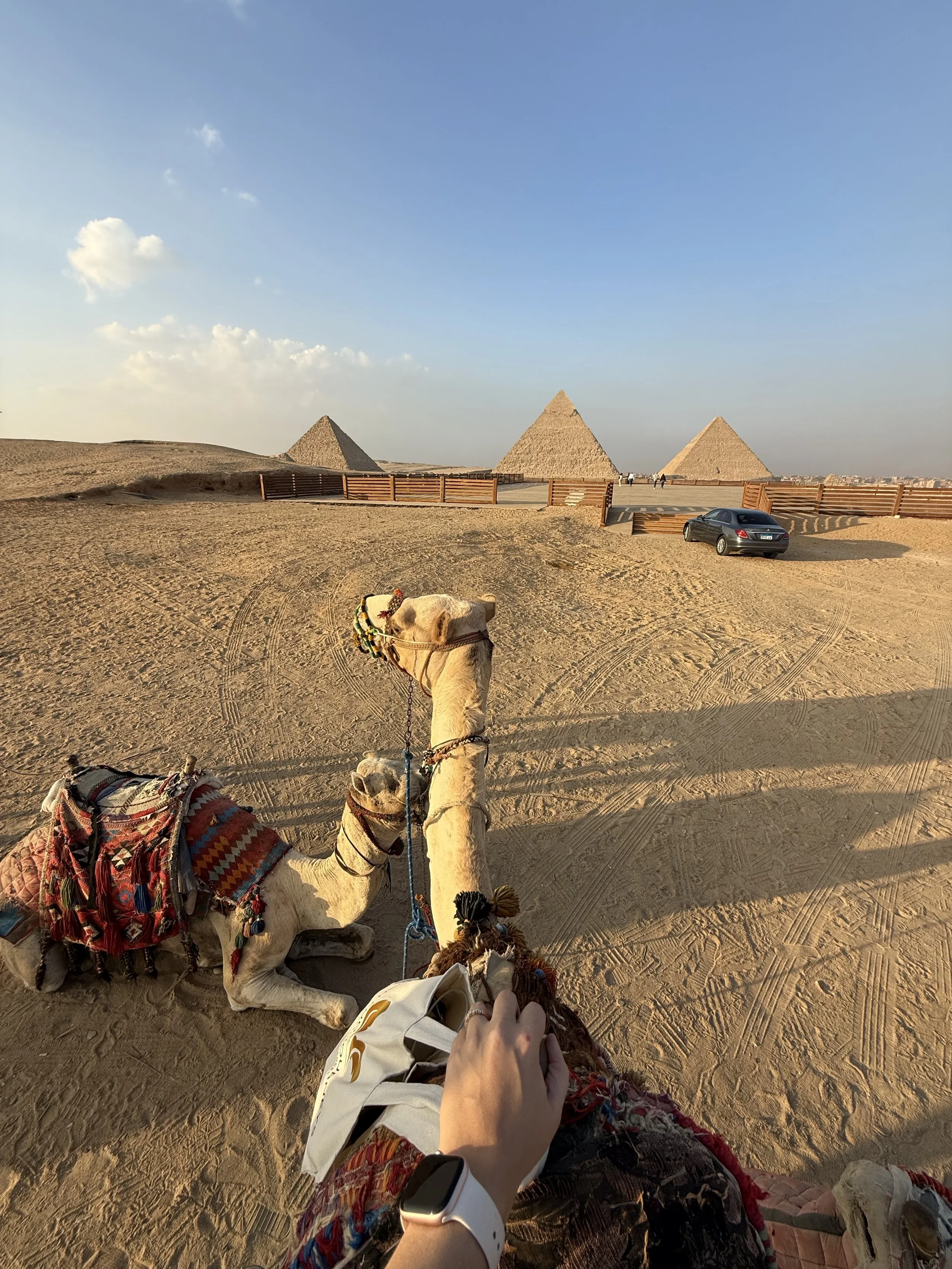 A camel ride en route to the Pyramids of Giza