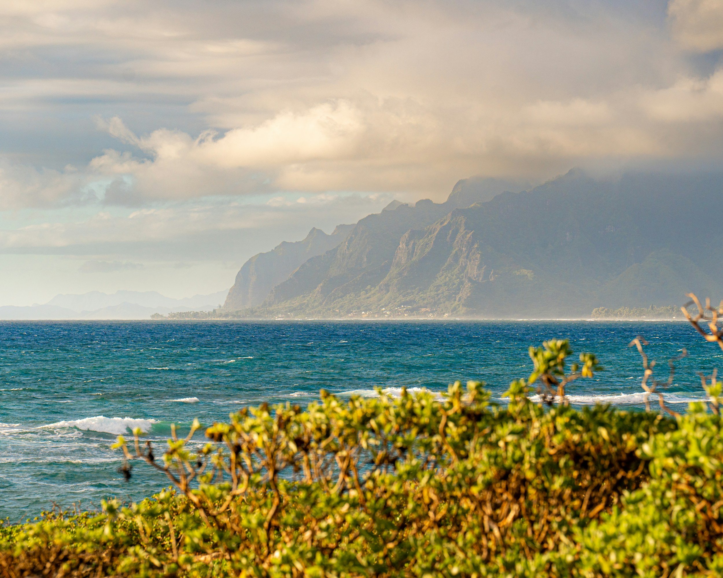 A scenic view of the ocean with mountains in the background, cloudy sky, and green bushes in the foreground.