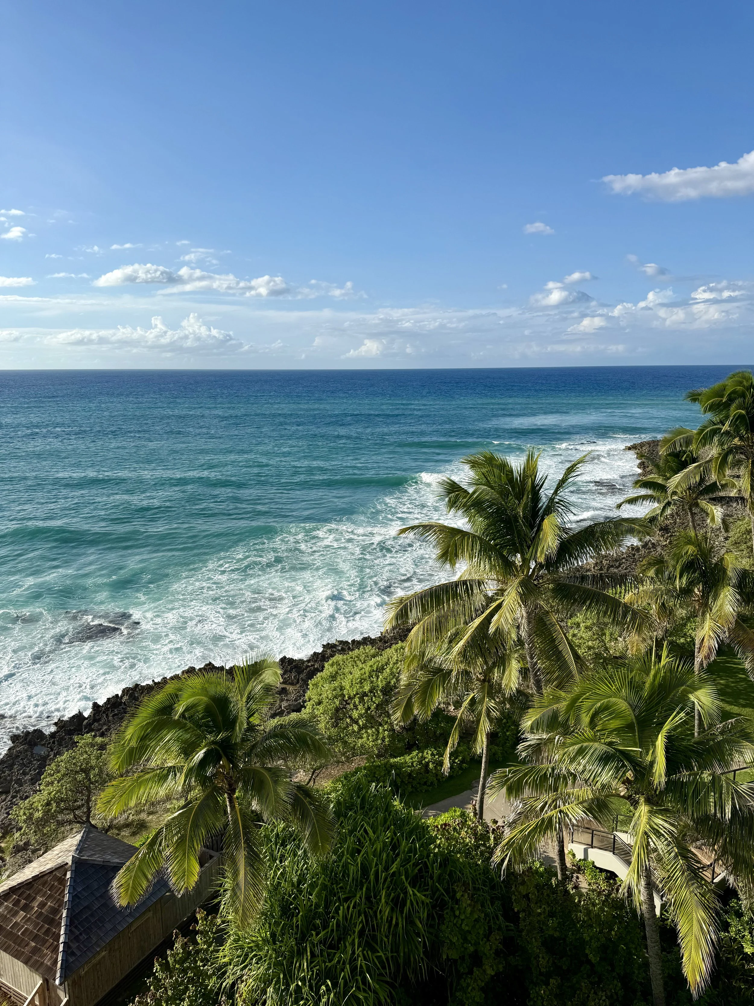 Living the Spirit of Aloha