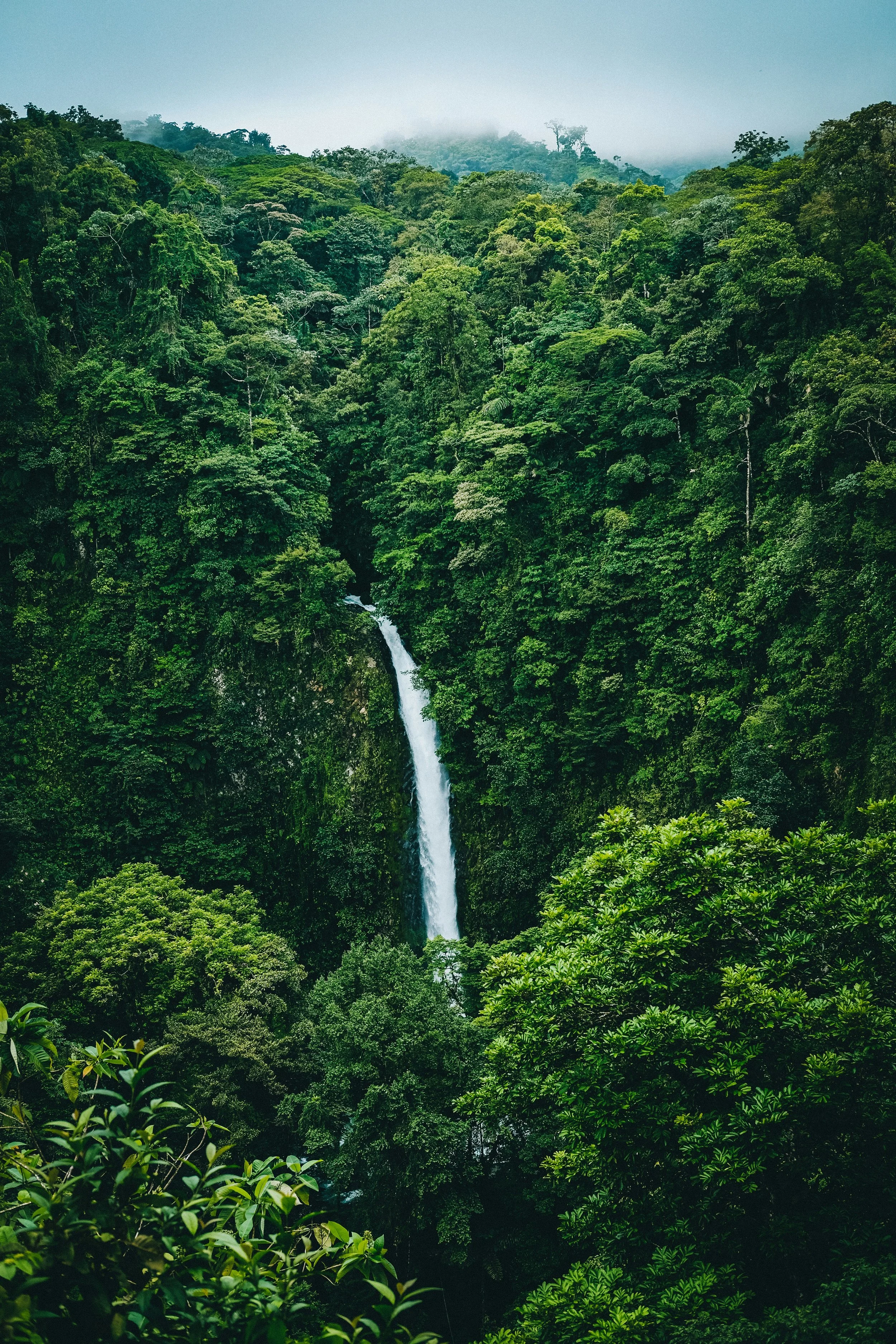 fabio-fistarol-8iyCHD8ZzYc-unsplash.jpg