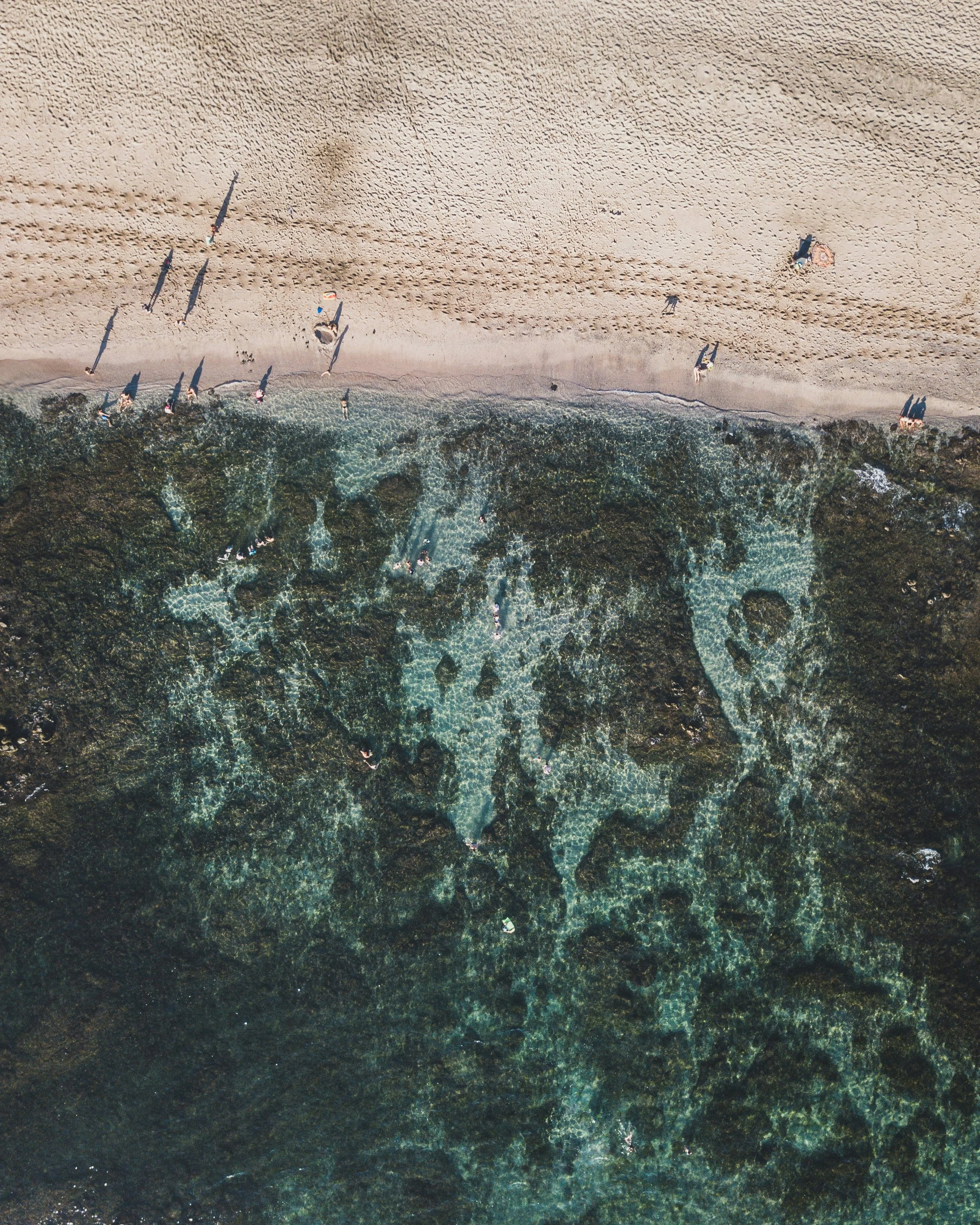 luis-diego-aguilar-wUYjr--B8Is-unsplash.jpg