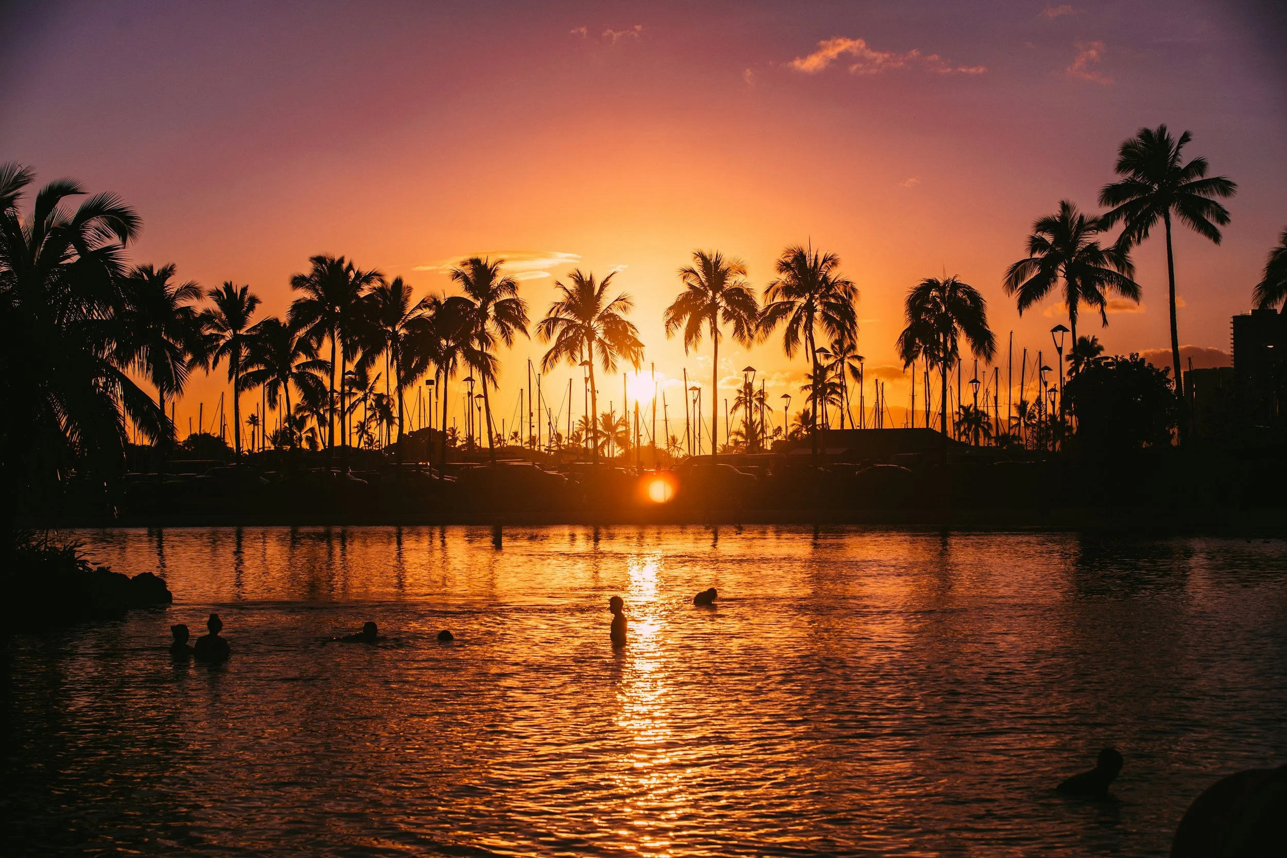 Sunset over a body of water with silhouetted palm trees and boats in the background, and people swimming in the water.
