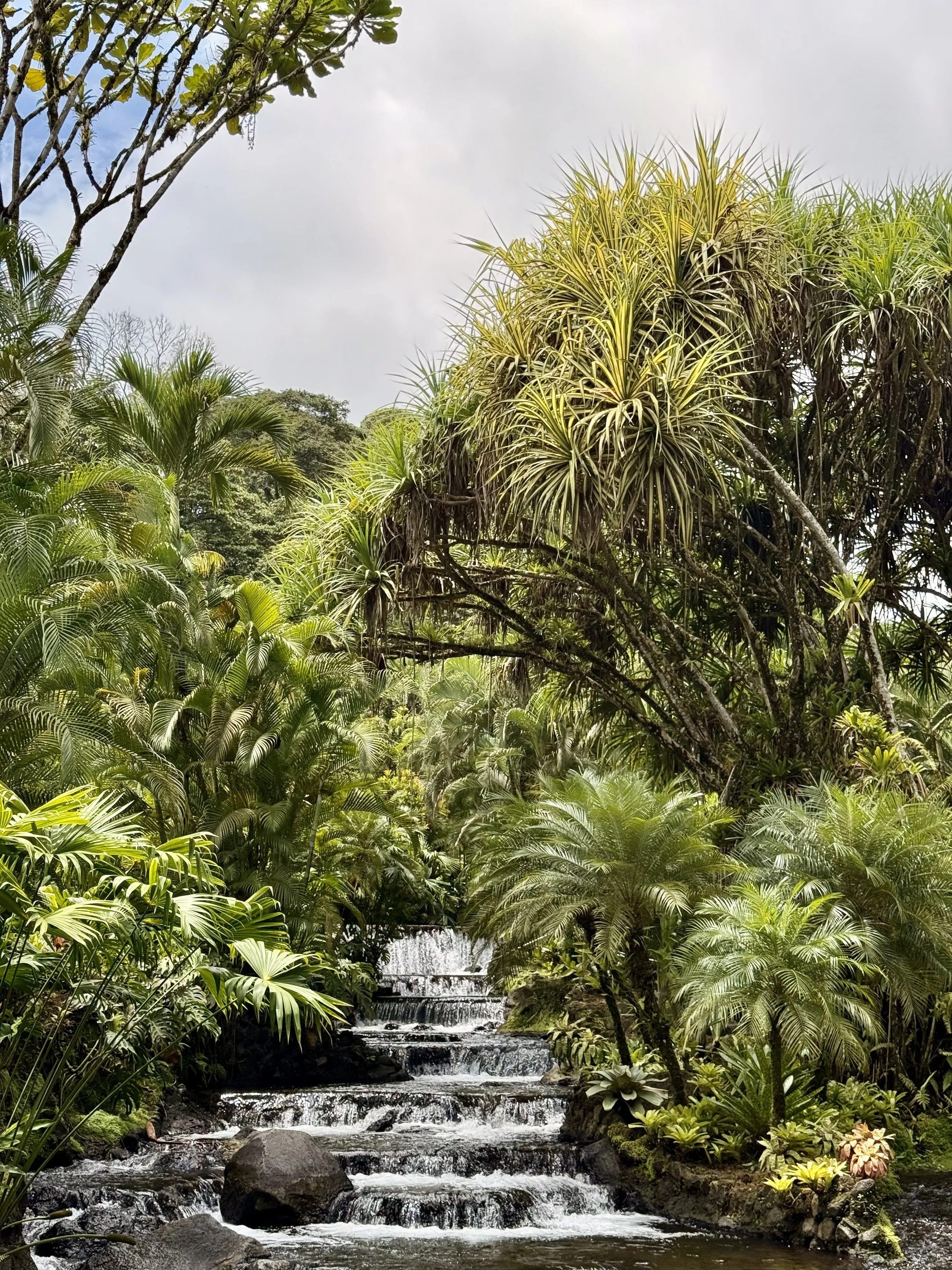 Hot Springs at Tabacon in Arenal region of Costa Rica