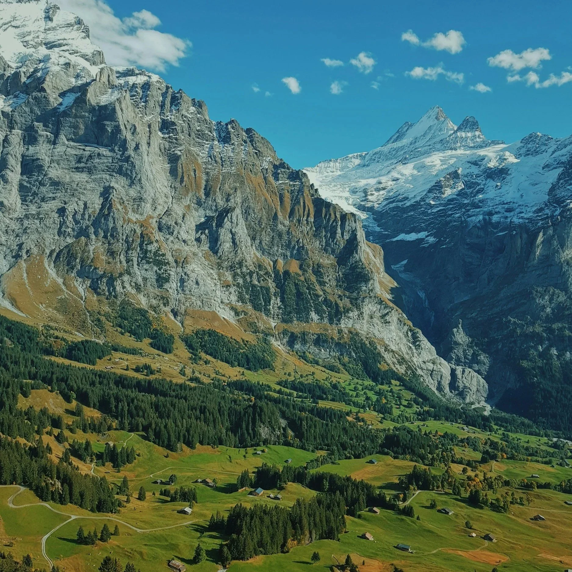 Austrian Alps greenery in the summer