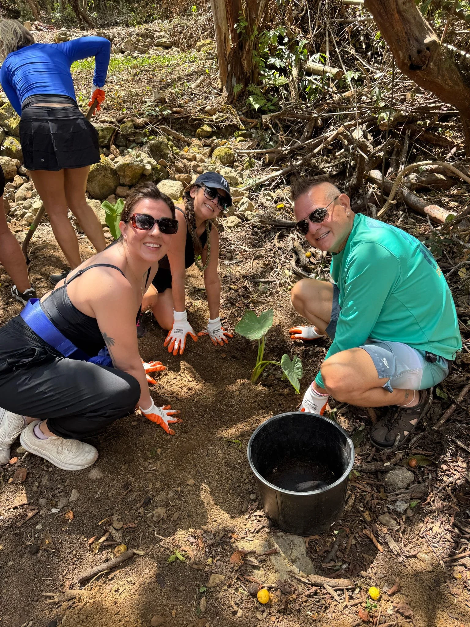 Tree Planting on my Hawaii FAM trip in September 2025