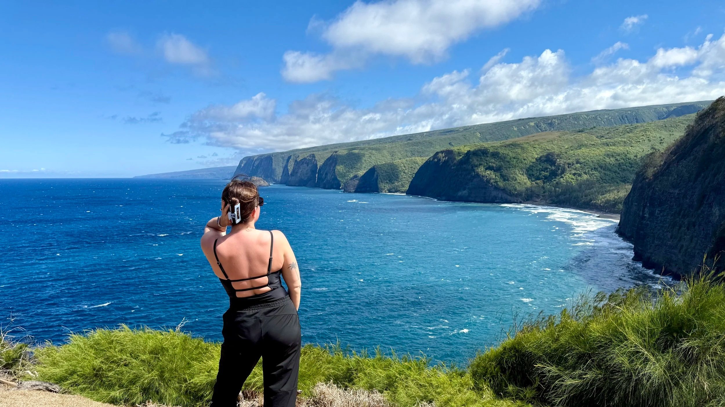 Carolyn looking out onto an overlook on Big Island, Hawaii