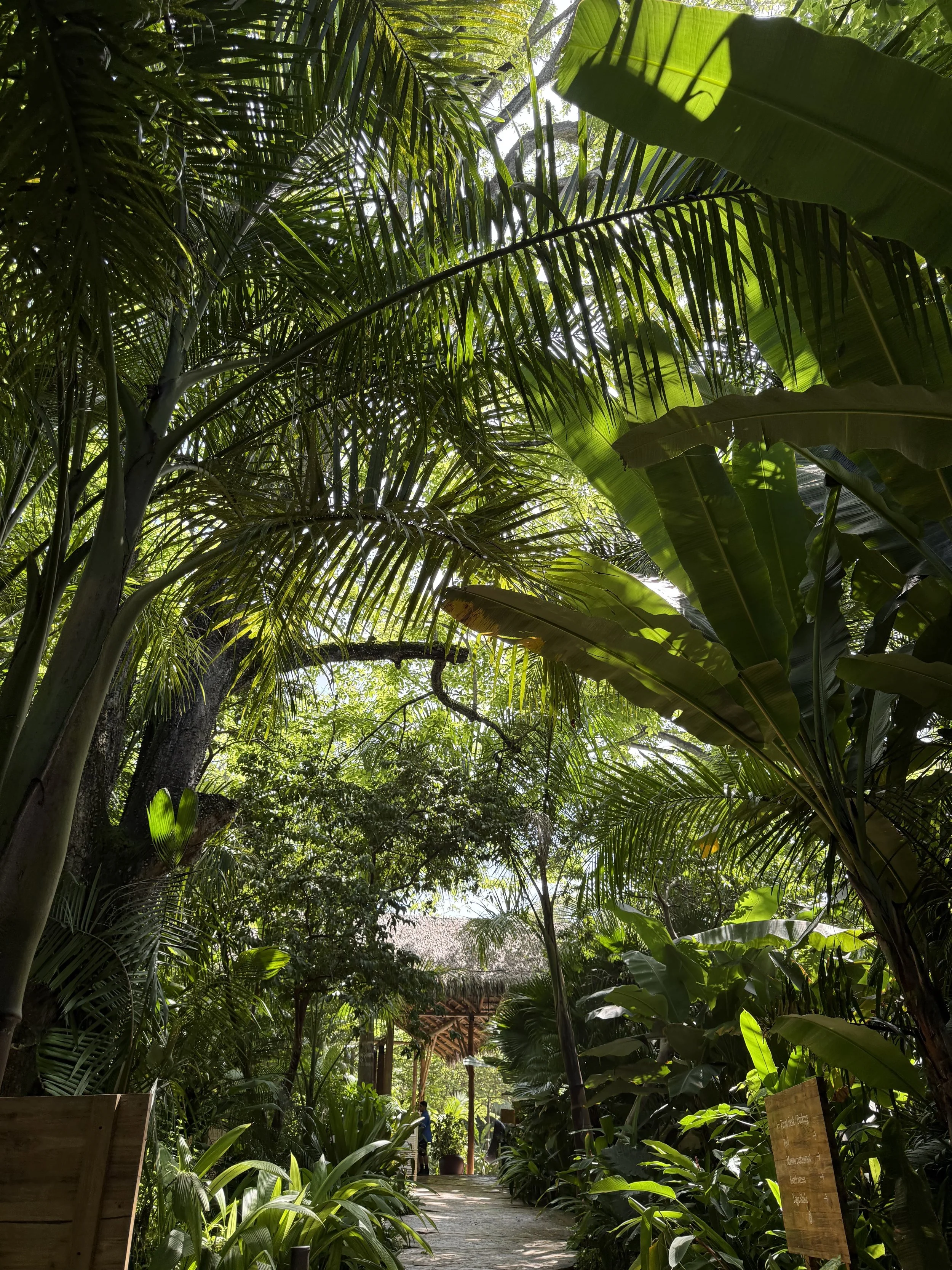 Santa Teresa, Costa Rica