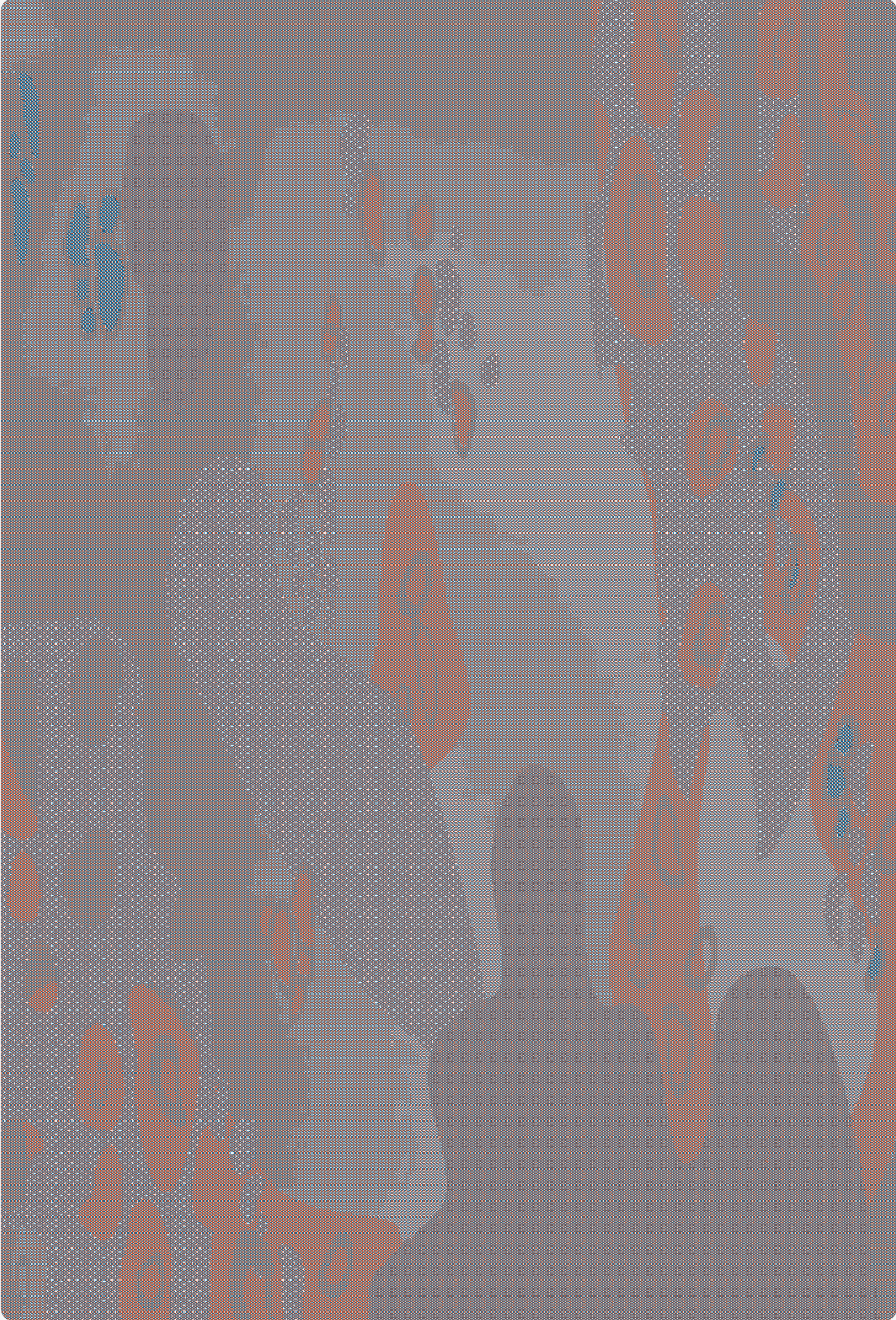 the woolmarkcompany, byborre, textile design competition, dutch design week, DDW