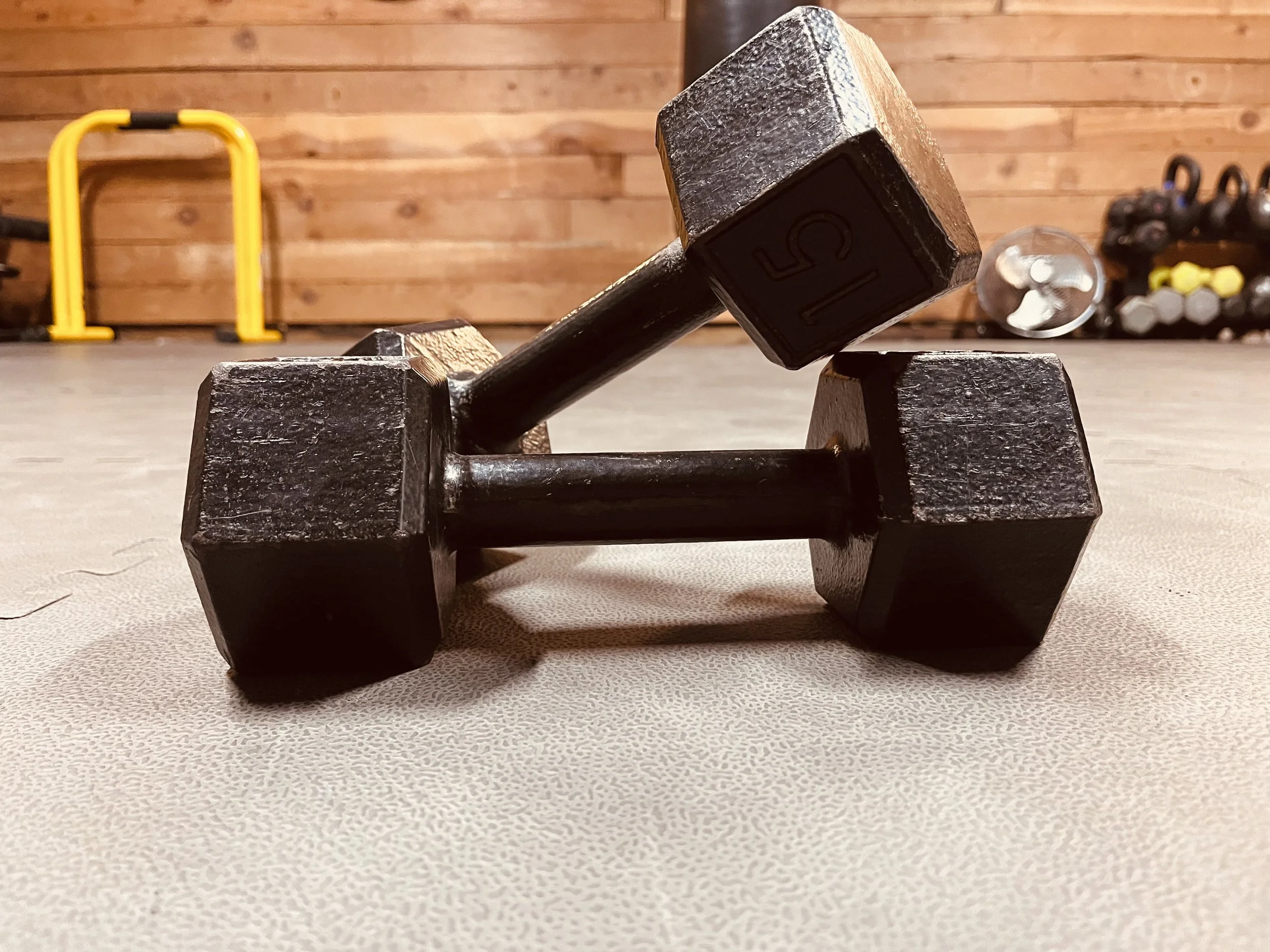 Intro to lifting ( through Dumbbell work)