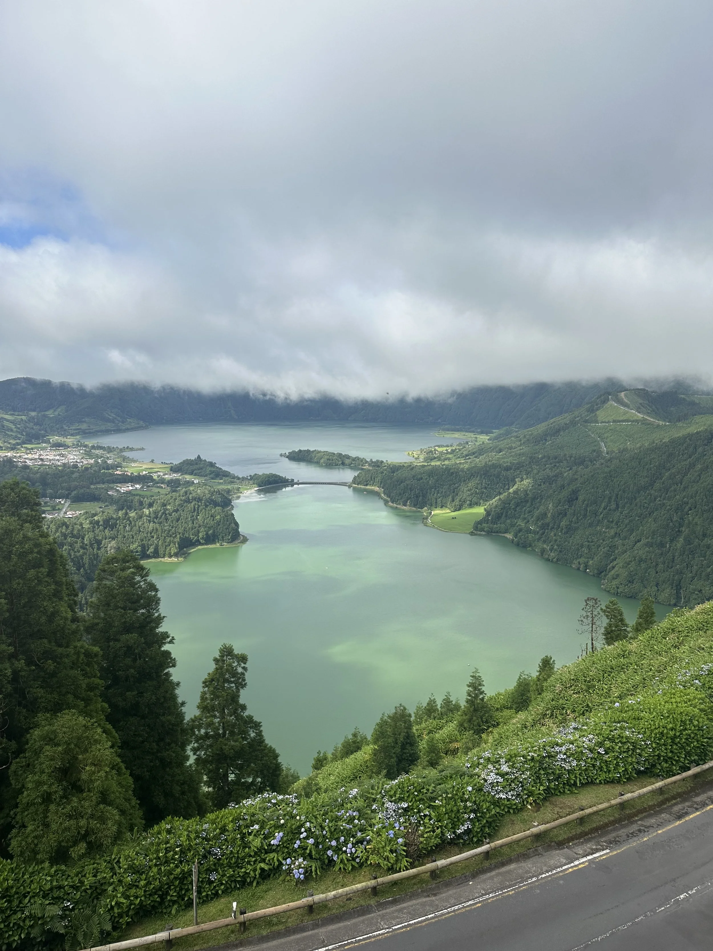 A scenic view of a river surrounded by lush green hills and mountains, partially covered by low-hanging clouds, with a road and a row of flowering bushes in the foreground.