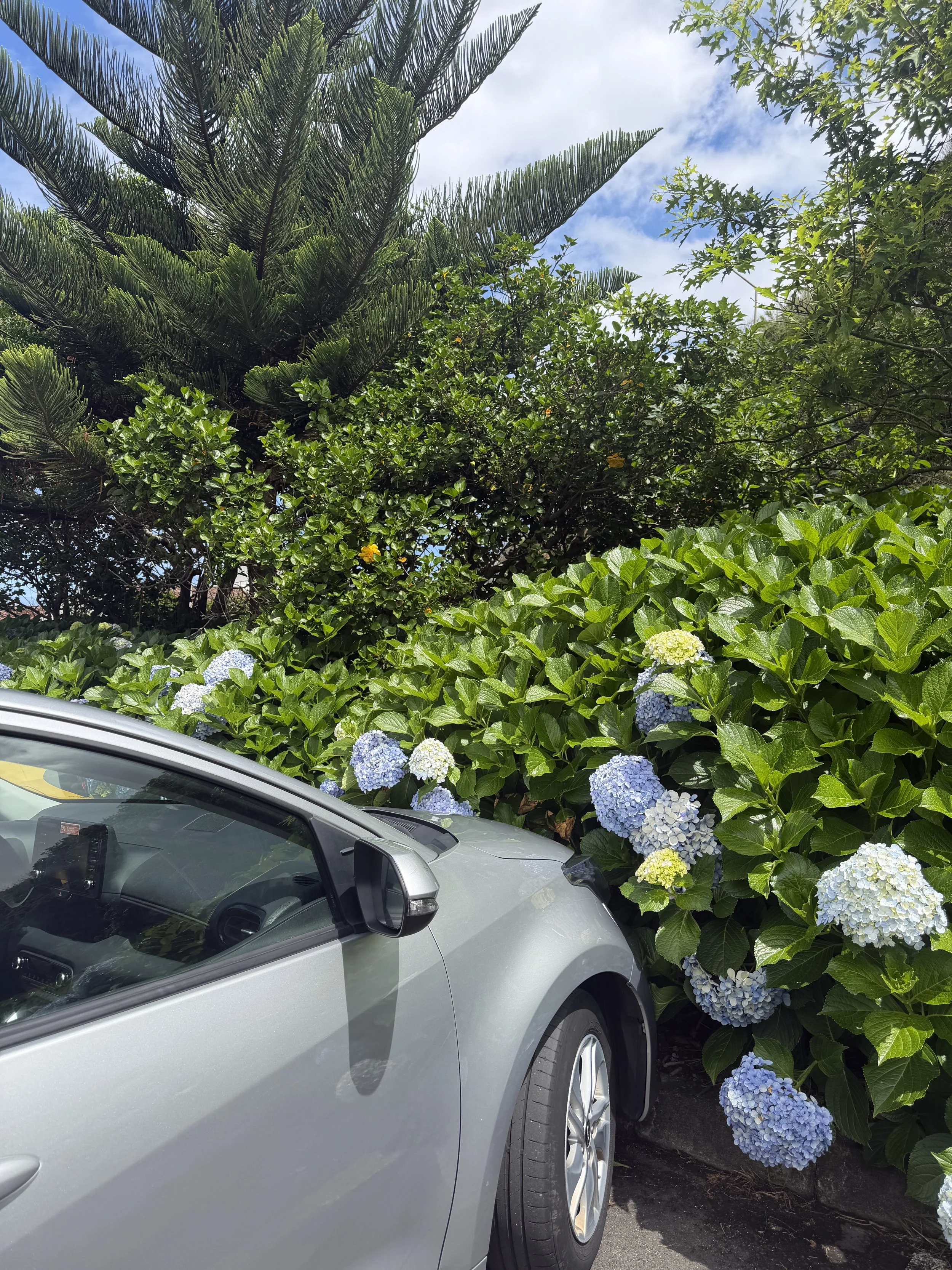 Do You Need to Rent a Car in São Miguel?