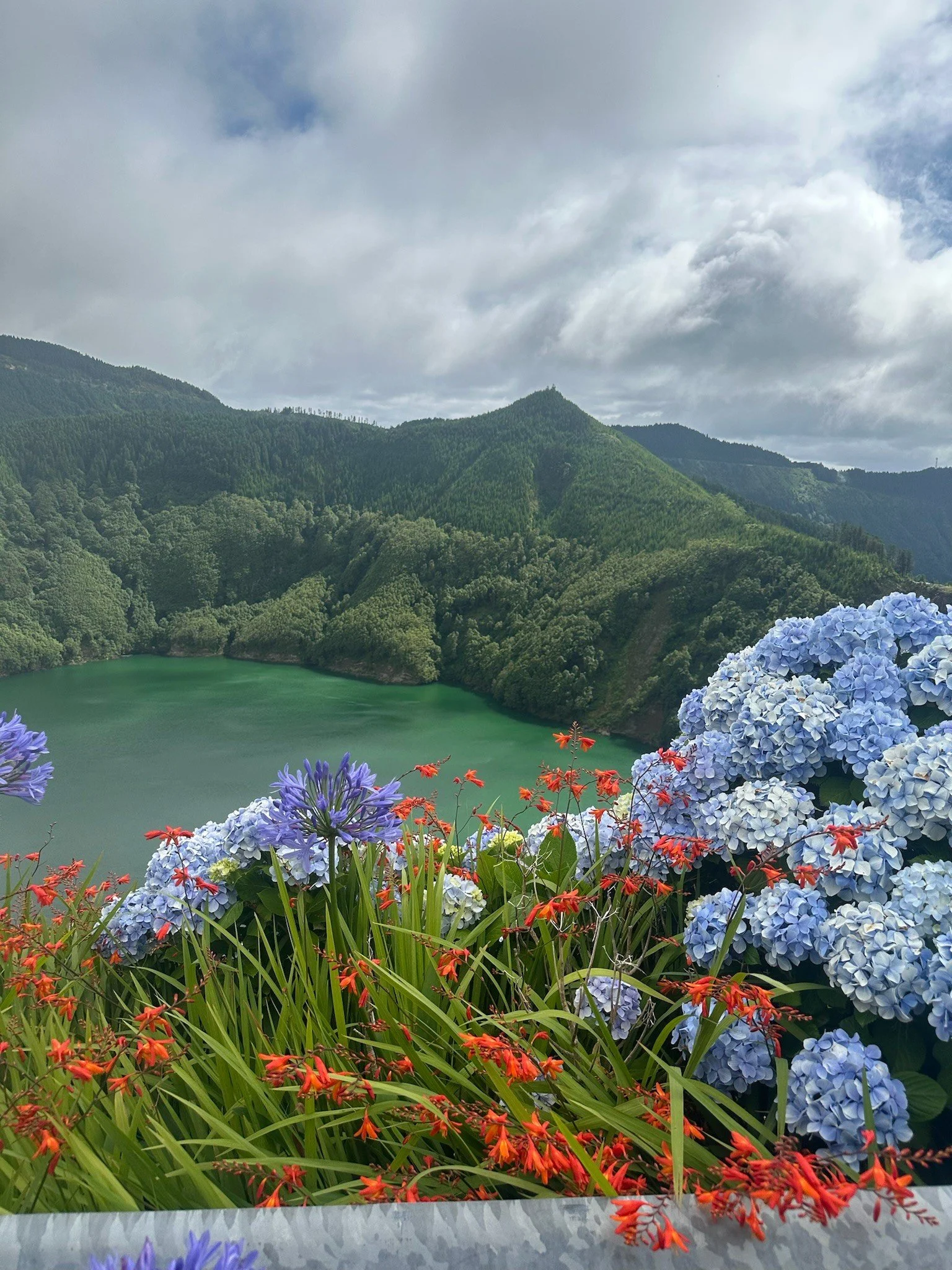 A scenic landscape with a lake surrounded by lush green mountains under a partly cloudy sky, and colorful flowers in the foreground.