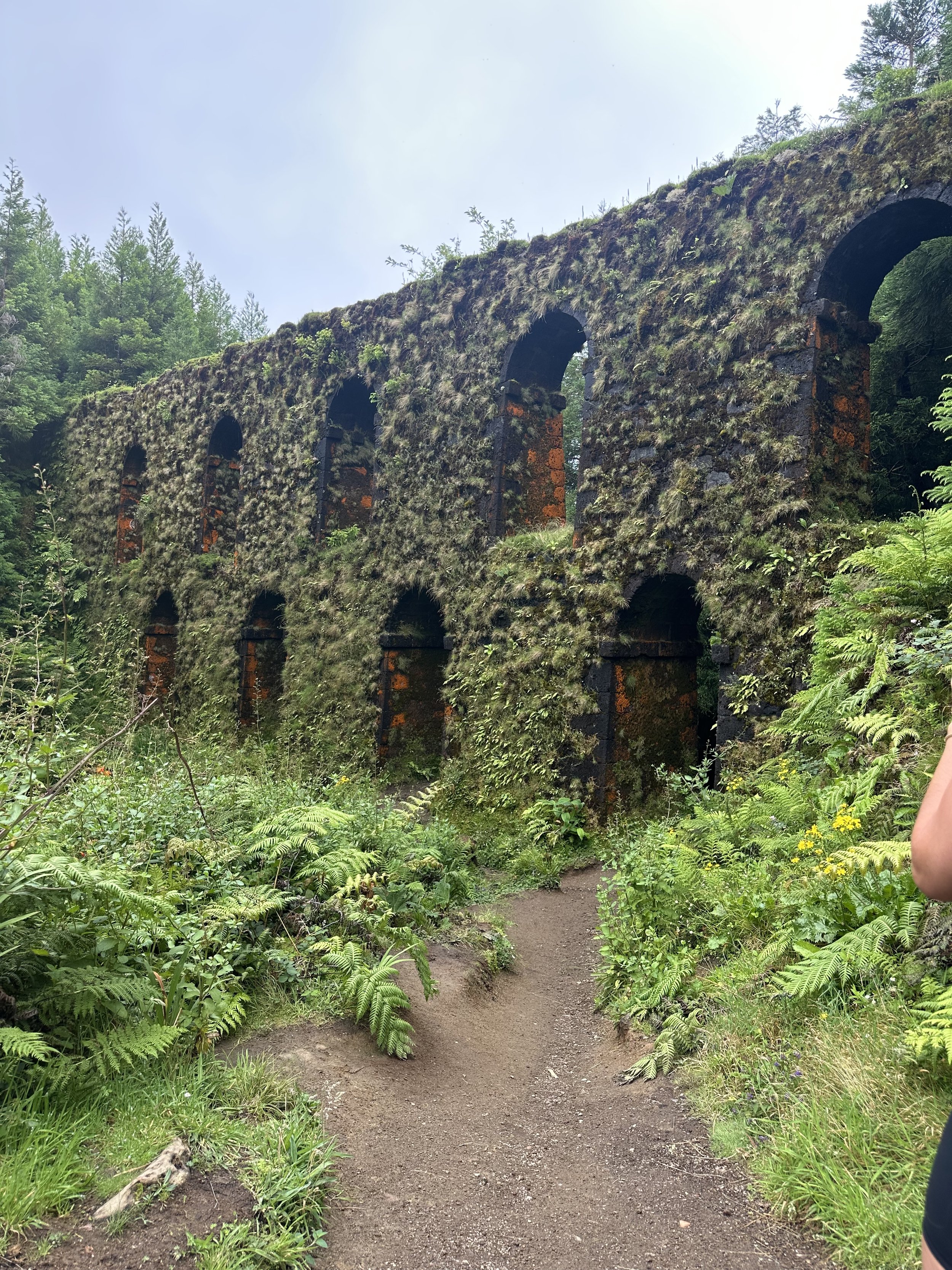 A moss-covered stone aqueduct in a lush, green forest with a dirt path in the foreground.