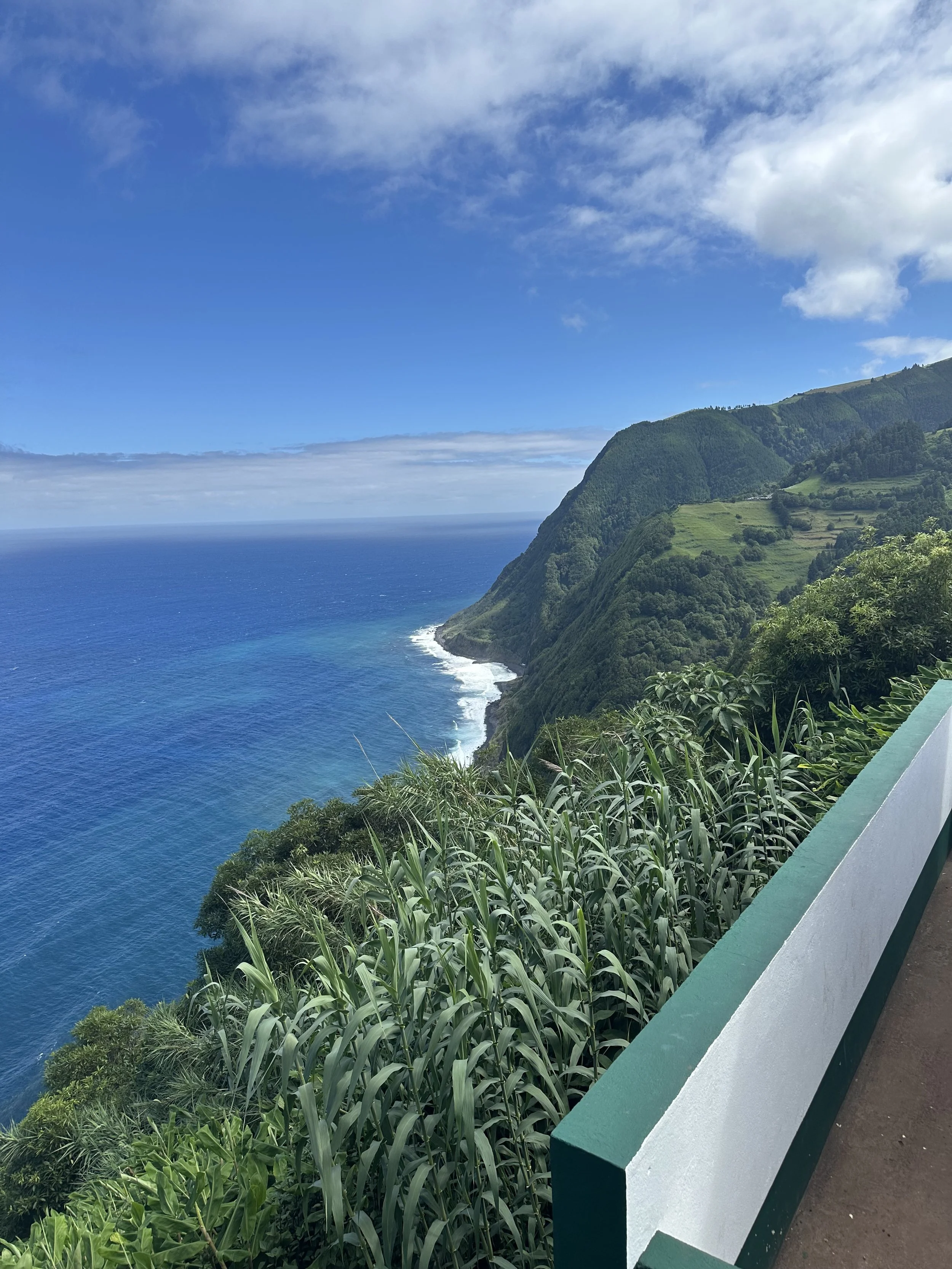 Ocean coastline with green cliffs and terraced fields, cloudy sky, and a sidewalk with a green and white railing in the foreground.