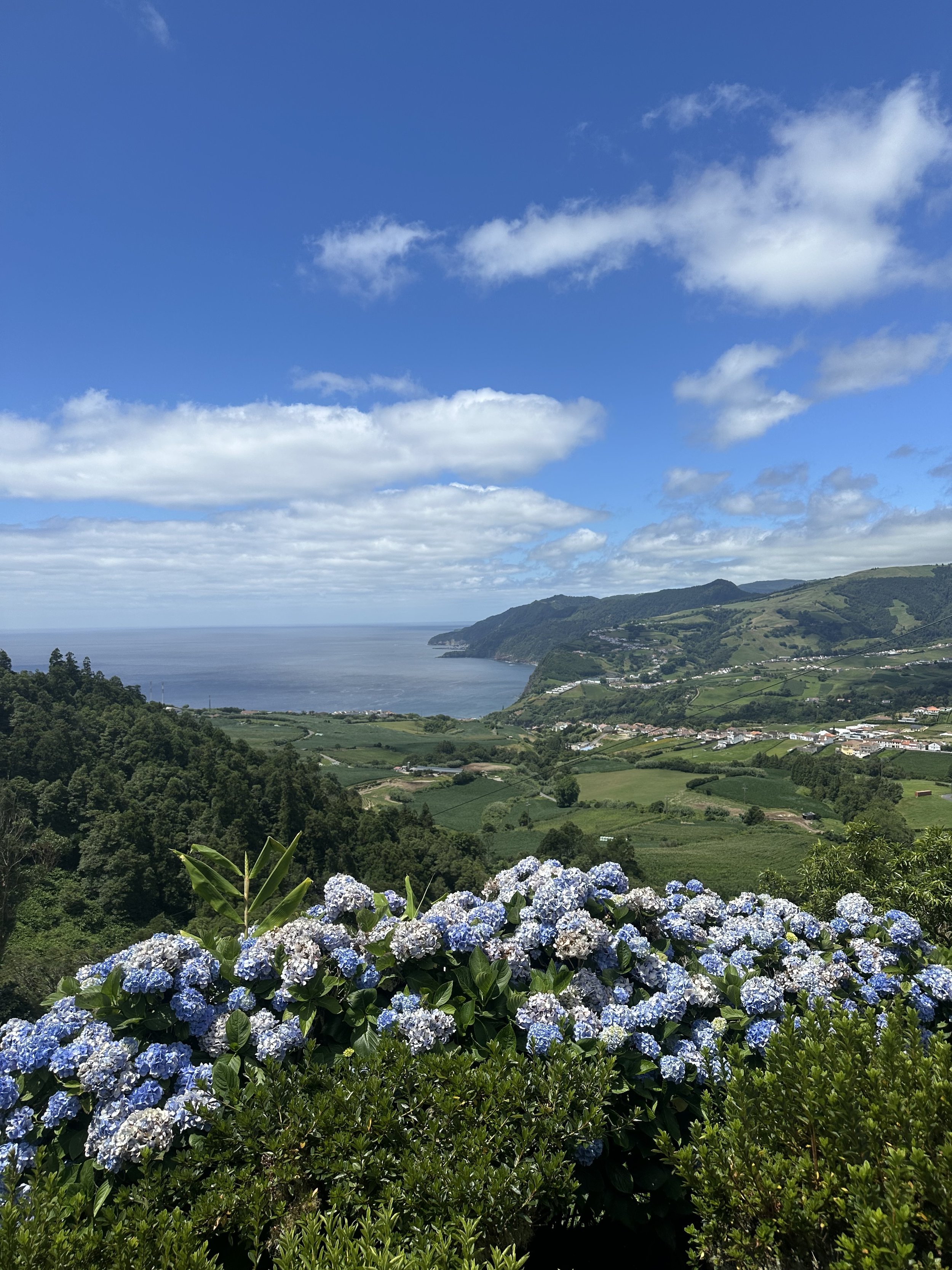 A scenic landscape with blue hydrangea flowers in the foreground, rolling green hills, and a coastline with the ocean under a partly cloudy blue sky.