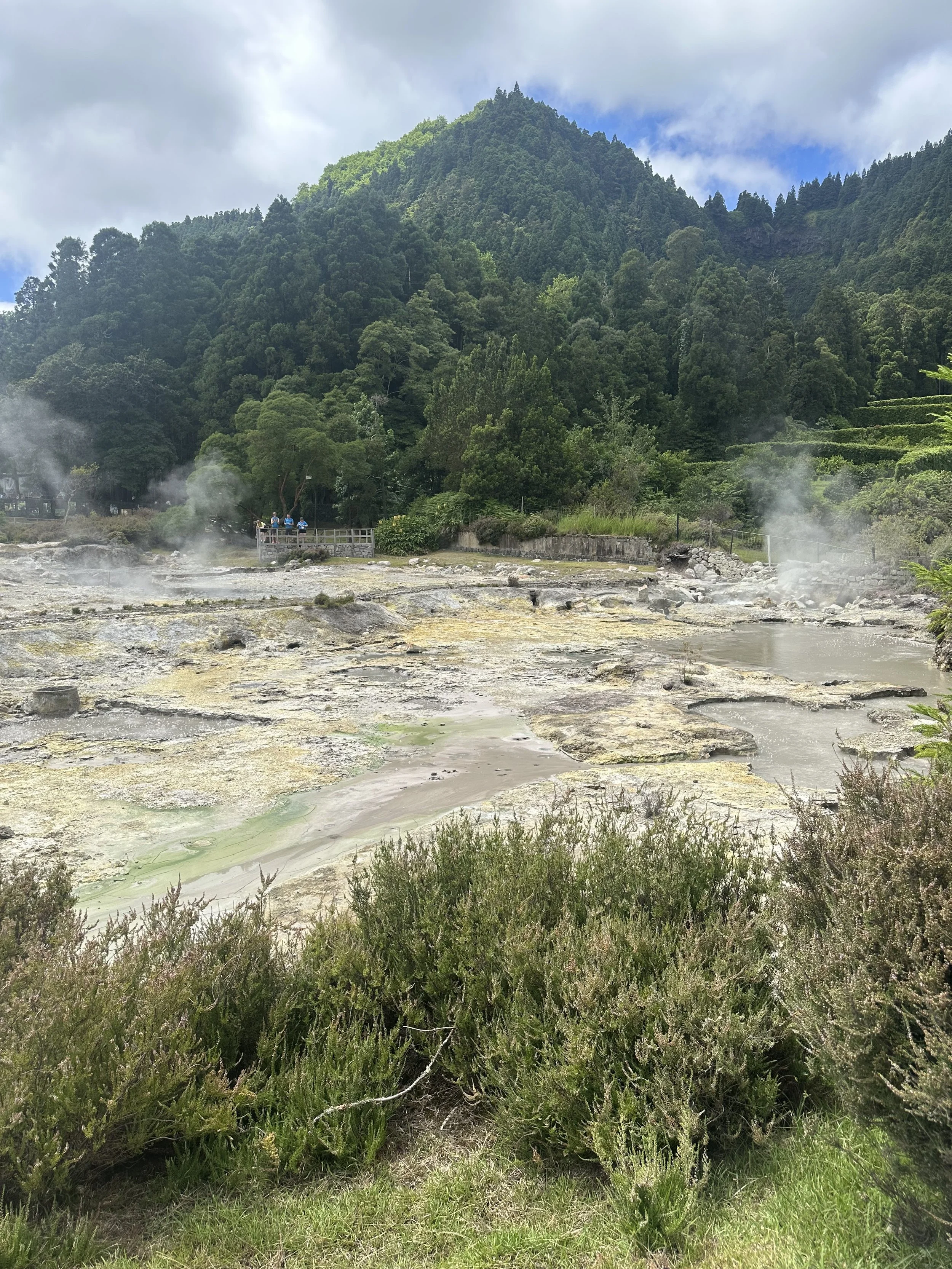 A natural landscape featuring a mountain covered in dense green trees, with a cloudy sky above. In the foreground, steam rises from geothermal hot springs or volcanic activity, and there is lush vegetation.