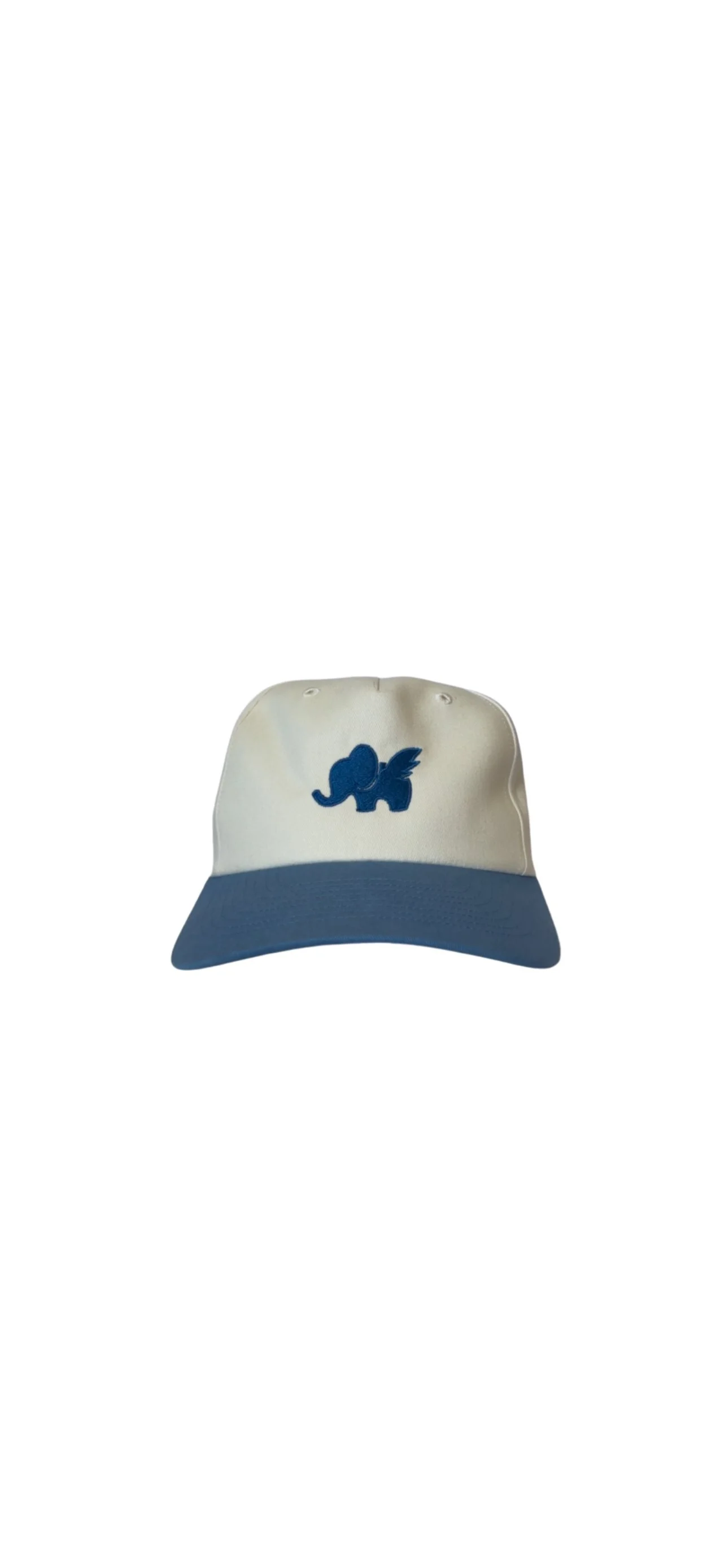 blue cap fnt.jpg