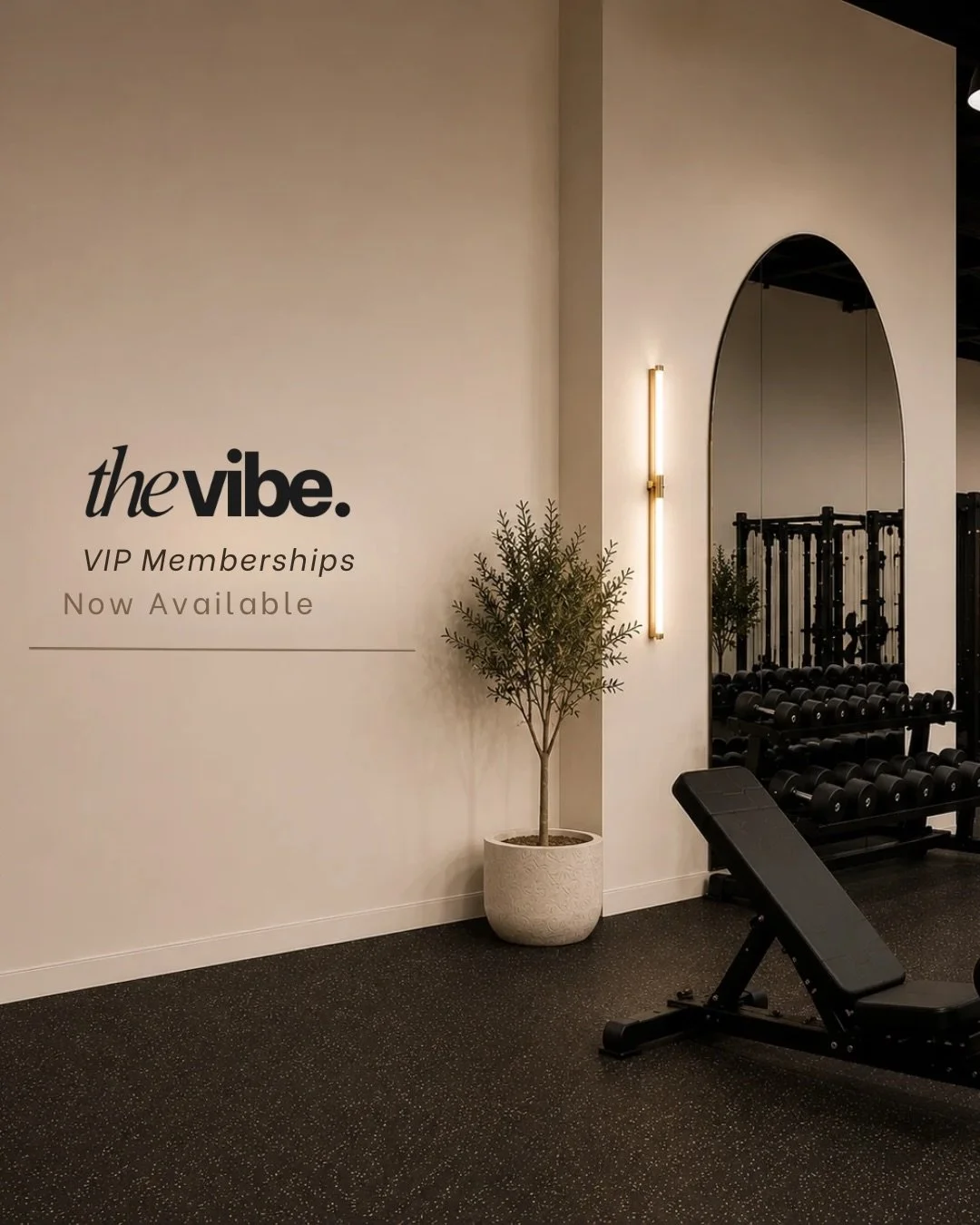 VIP Memberships are officially LIVE. ✨

The Vibe is a private, women-only fitness club designed to give East Idaho women a different kind of gym experience&mdash; one that is elevated, uncrowded, welcoming, and built around your lifestyle.

Your memb