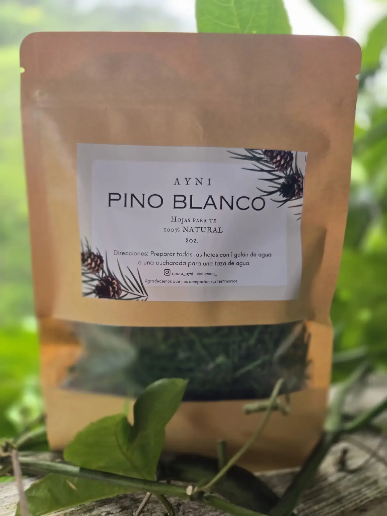Hojas de Pino Blanco para Té