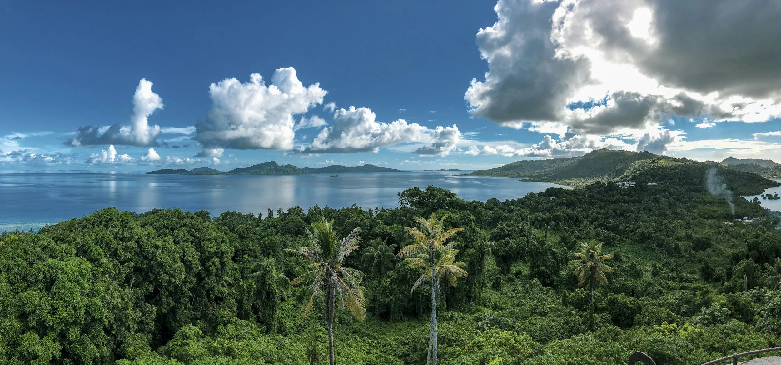 A scenic view of a lush green tropical forest with palm trees, overlooking a large body of water with distant islands and mountains under a sky with white fluffy clouds.