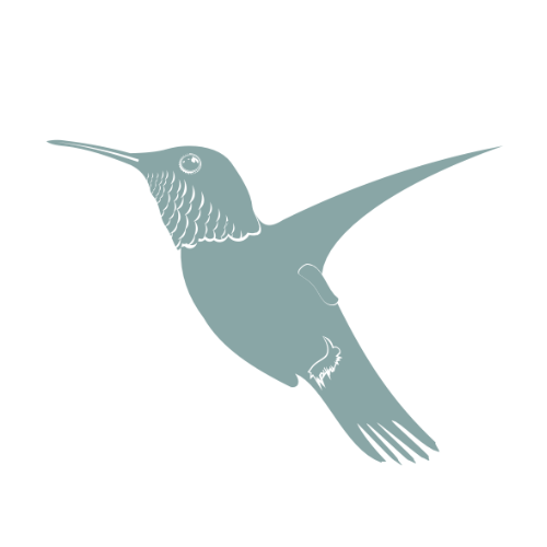 Sage green hummingbird illustration, the logo for Nicola Pott Therapy