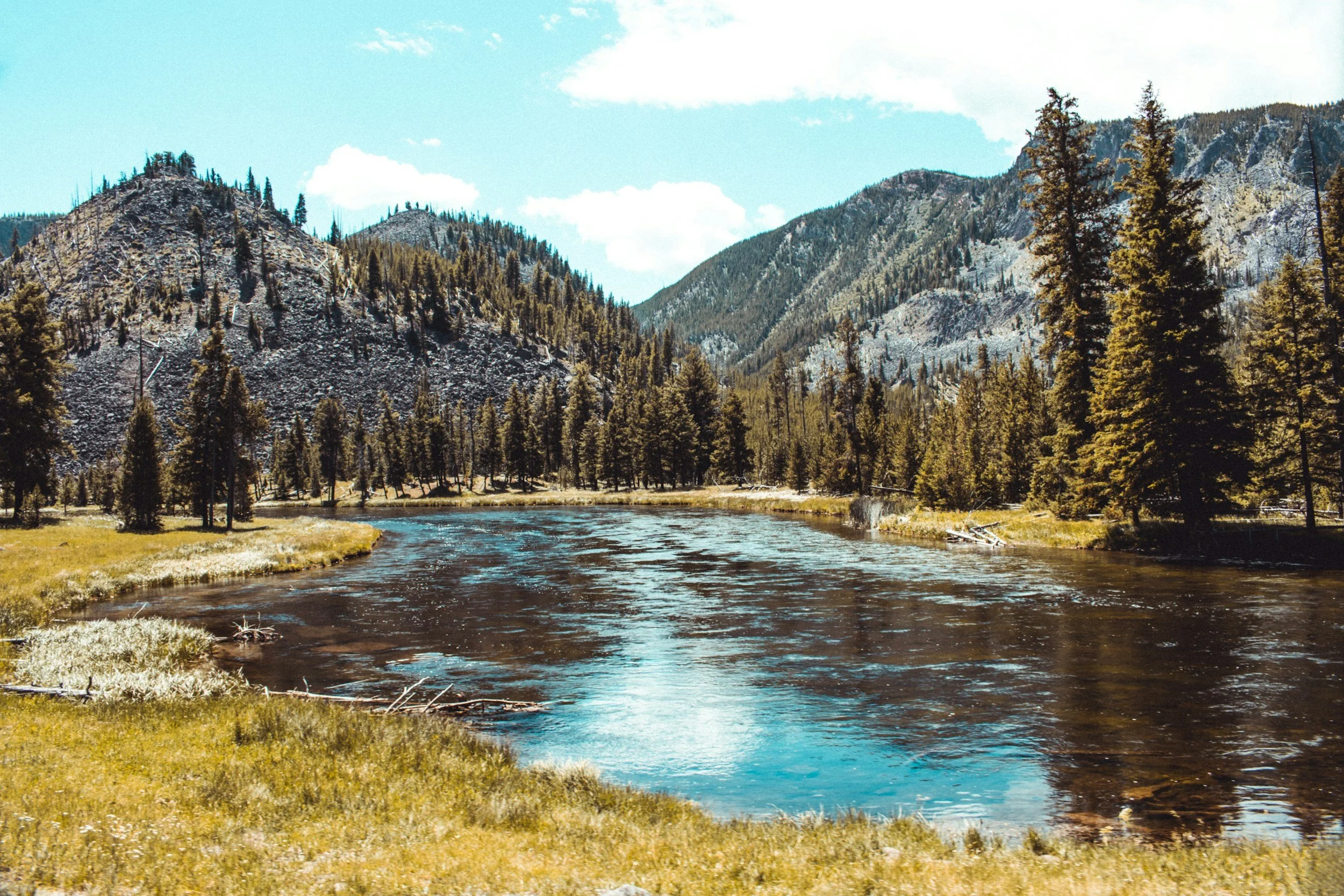 A river flowing through a forested valley with mountains in the background under a blue sky with some clouds.