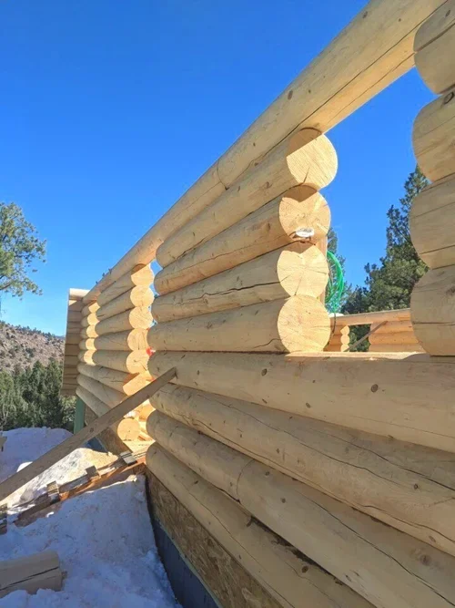 Log+Walls.webp