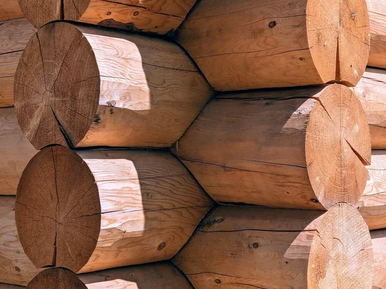 logcloseup.webp